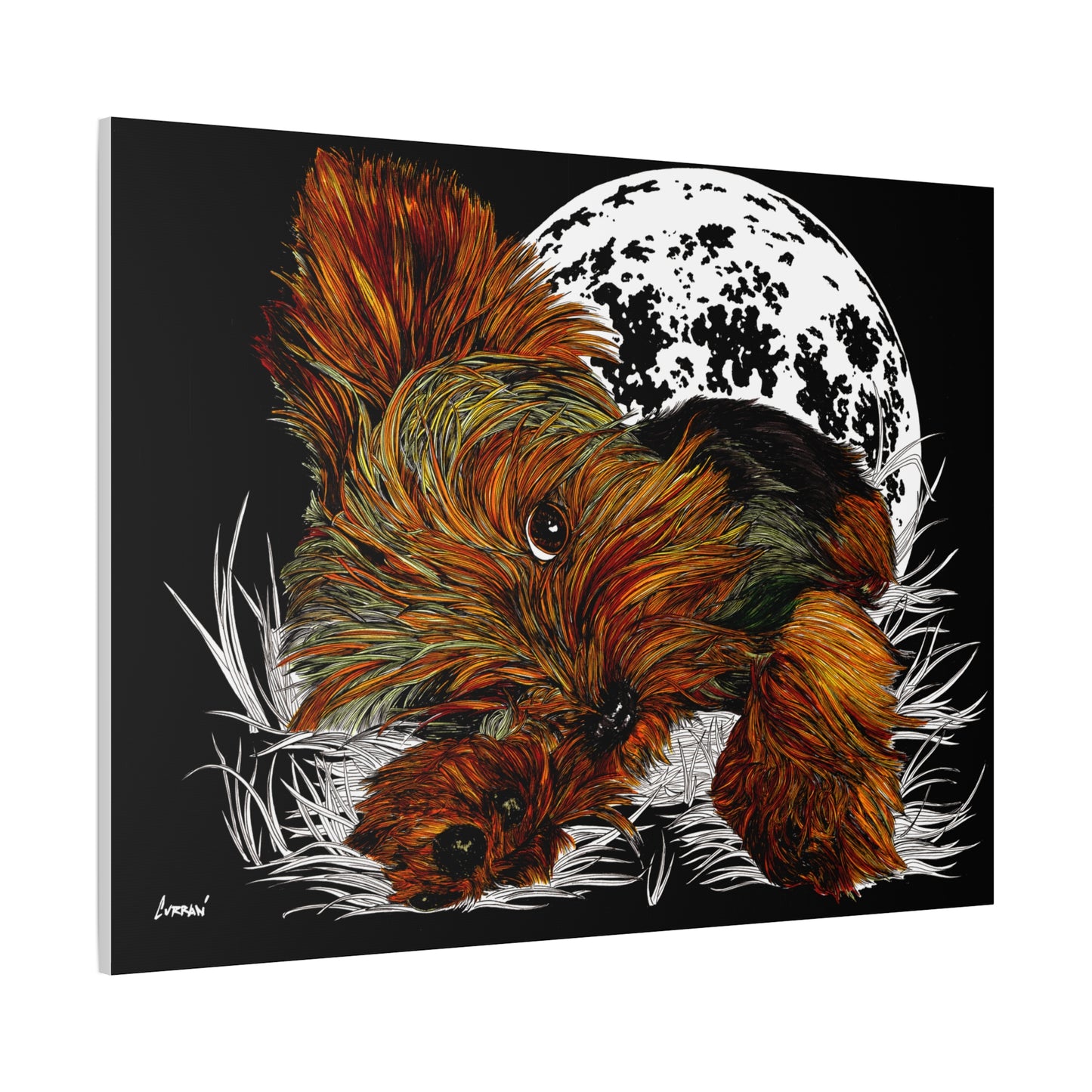 Yorkie Terrier Canvas Print - Cozy Yorkie with Moon Design