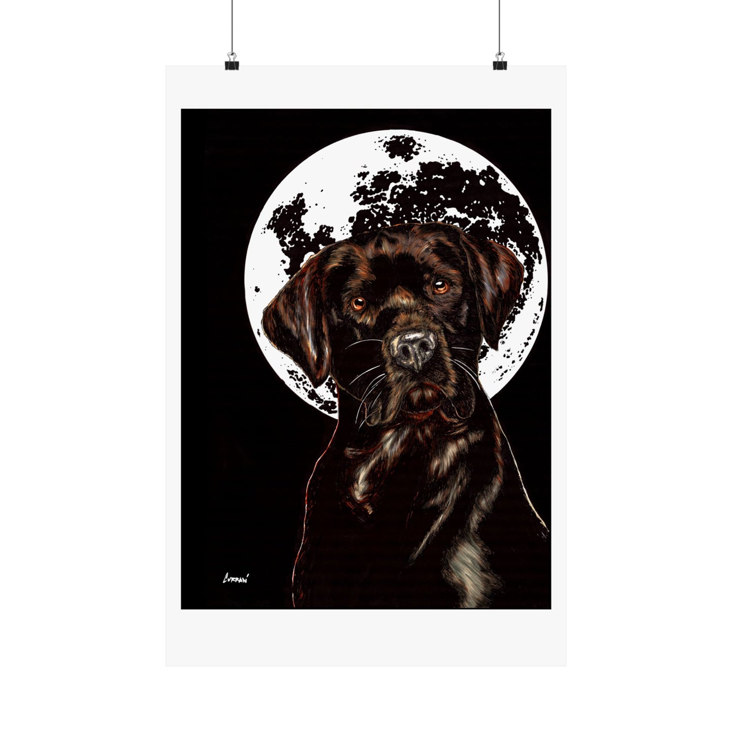 Chocolate Lab Dog Moonlight Satin Poster