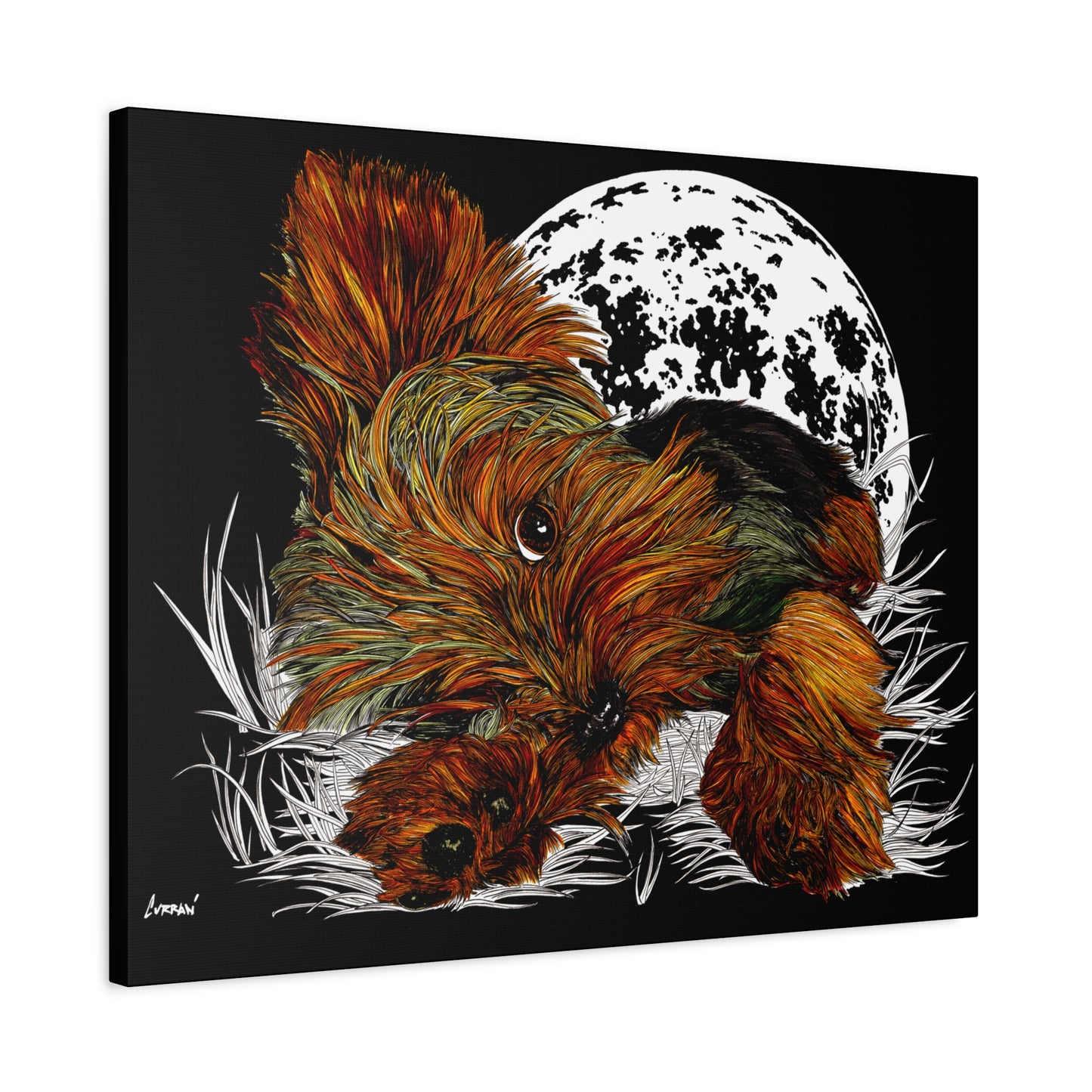 Yorkie Terrier Canvas Print - Cozy Yorkie with Moon Design