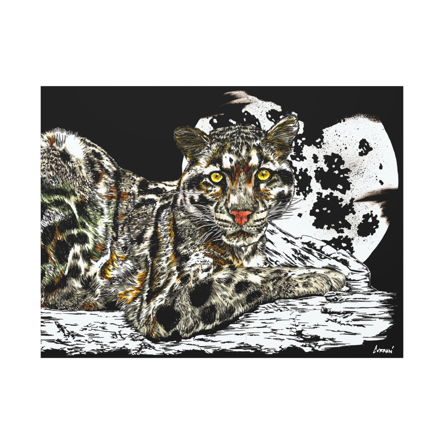 Leopard Canvas Art – Original Hand-Drawn Realistic and Detailed Big Cat Illustration printed on Matte Canvas, Stretched, 1.25"