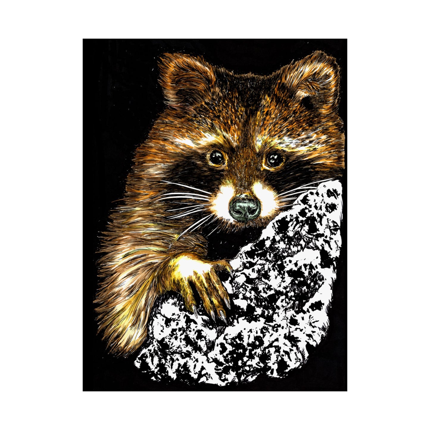 Raccoon Wildlife Satin Poster - Hand-Drawn Raccoon Art Print (300gsm)