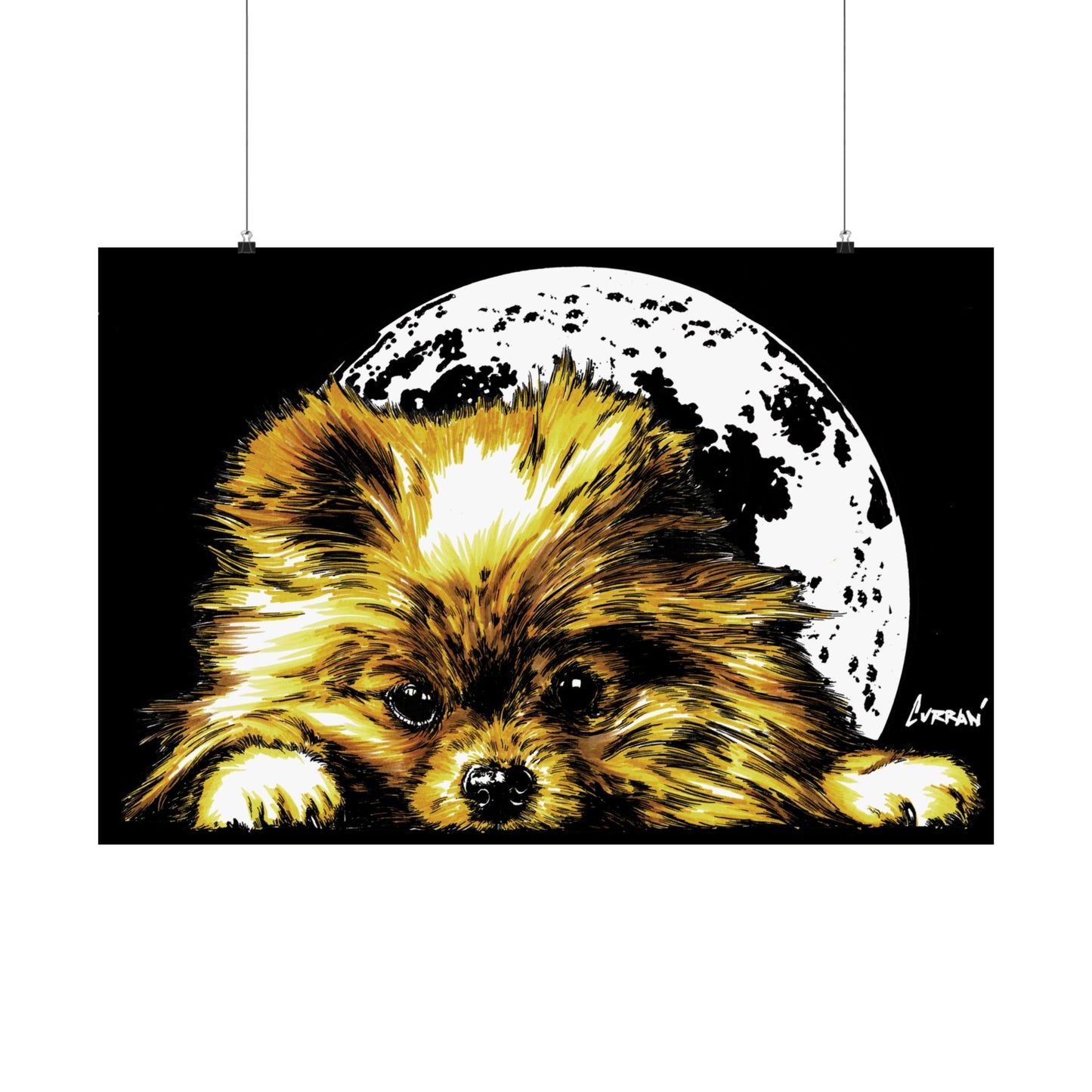 Beautiful Pomeranian Art Print - Satin Poster (300gsm)