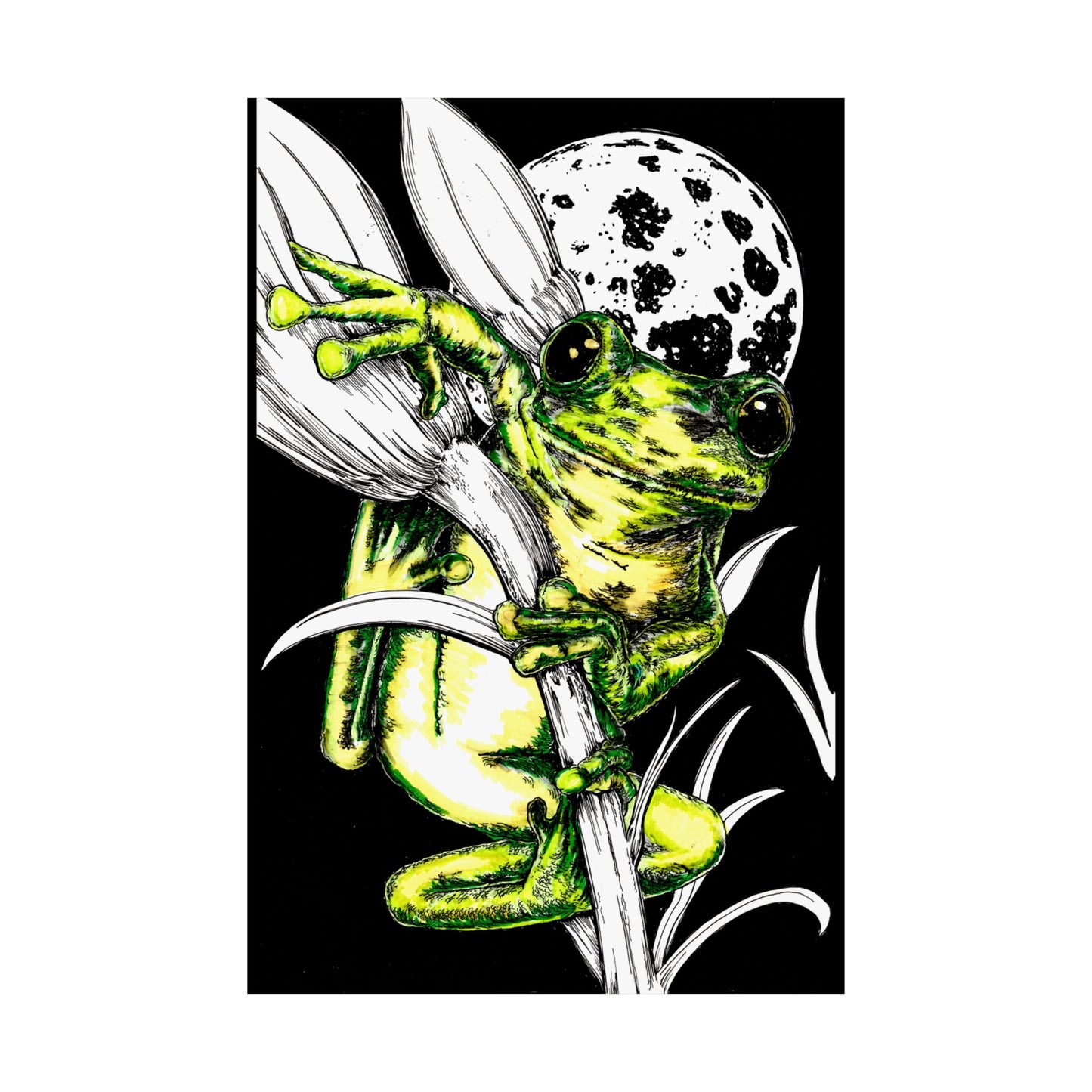 Whimsical Frog Satin Poster - Vibrant Wall Art for Nature Lovers