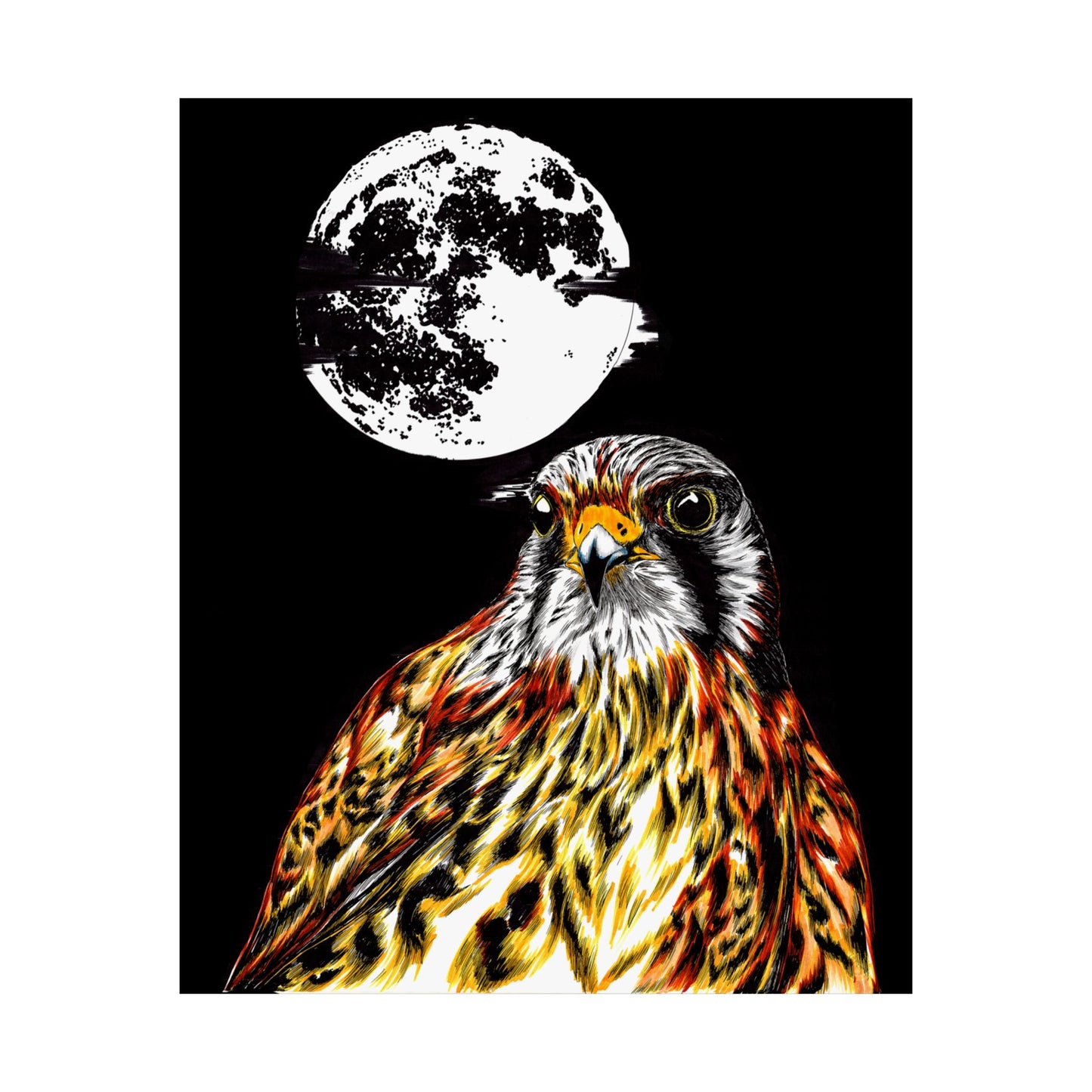 Wildlife Satin Poster - Majestic Falcon with Moon Design