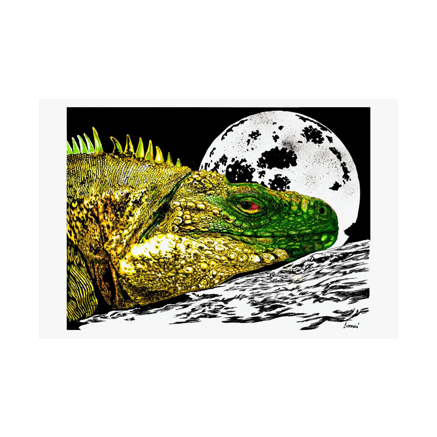Vibrant Iguana Satin Poster - Moonlit Art Print for Nature Lovers
