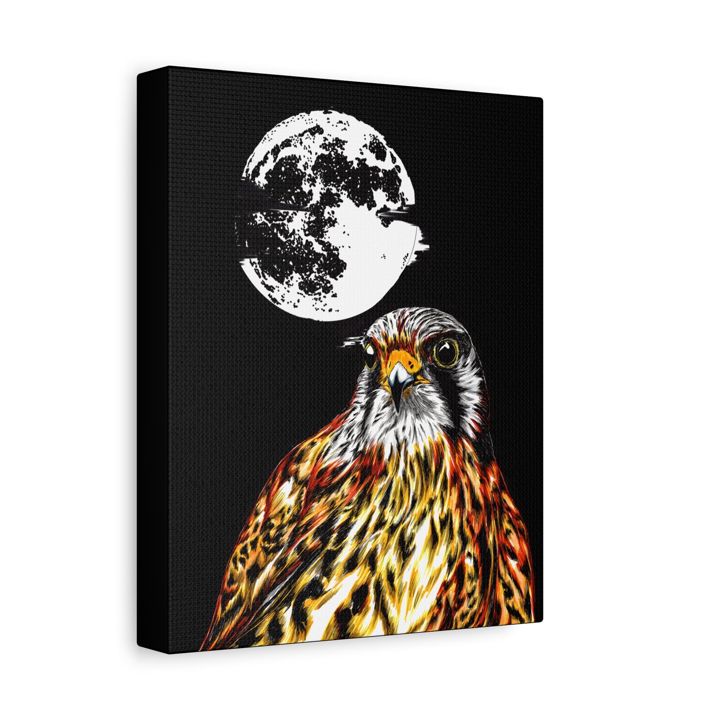 Falcon Wall Art, Falcon Print, Wildlife Art, Bird of Prey
