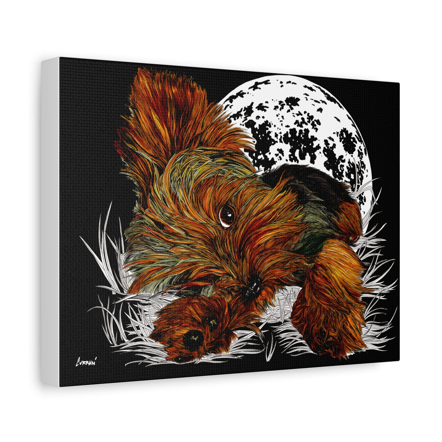 Yorkie Terrier Canvas Print - Cozy Yorkie with Moon Design
