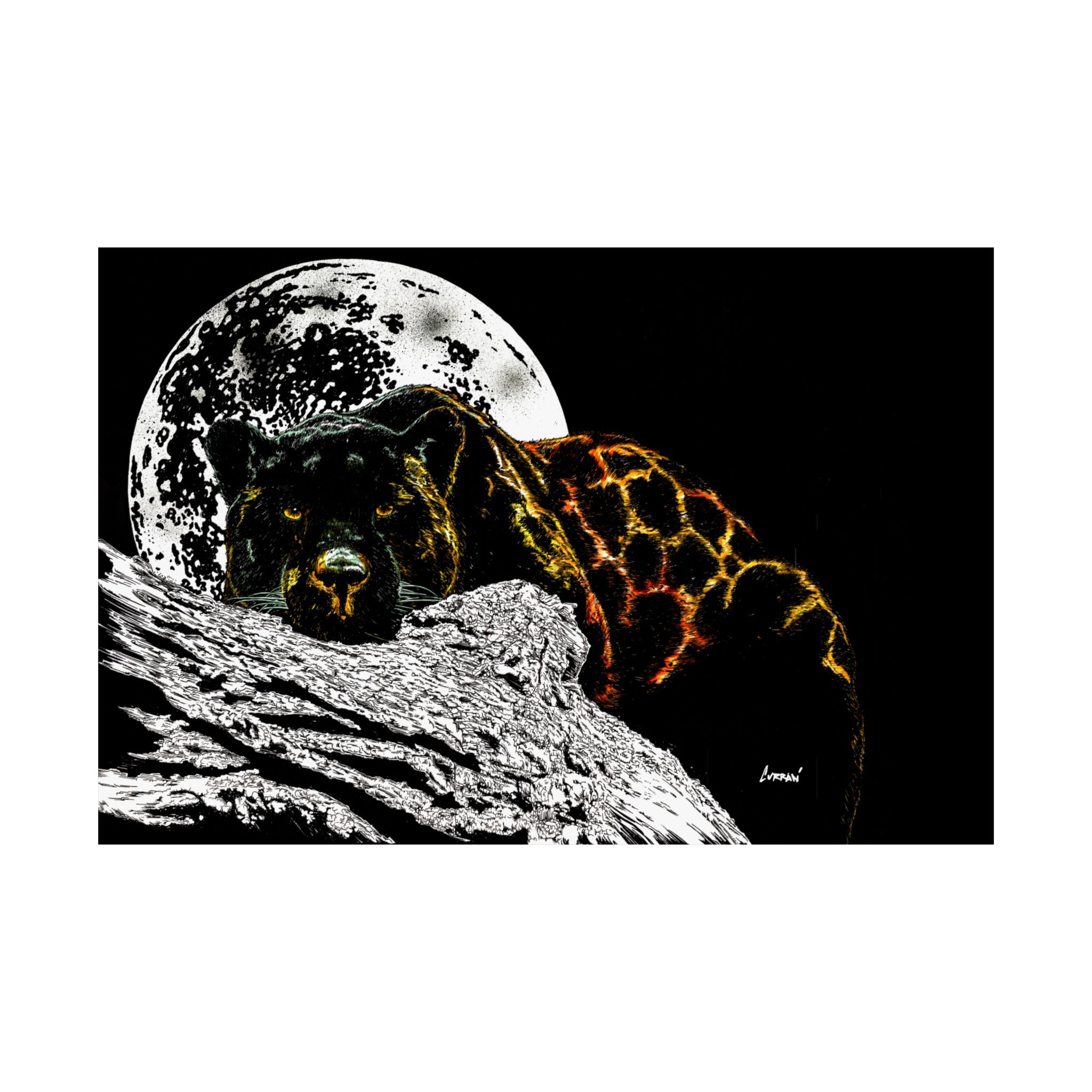 Majestic Bear Satin Poster - Night Moon Art Print (300gsm)