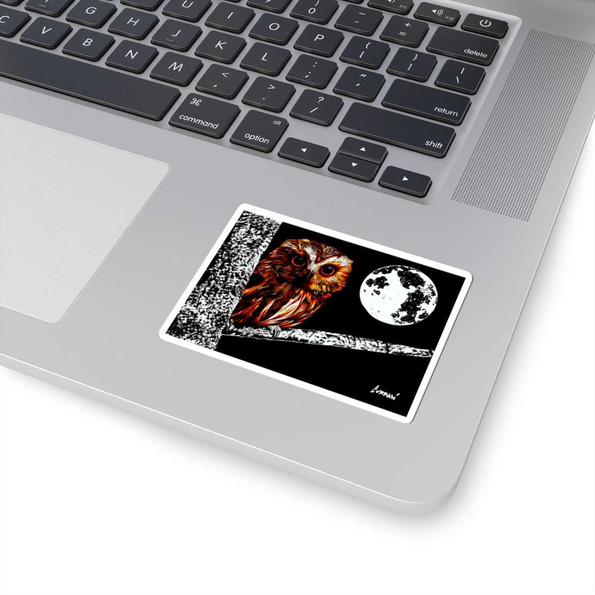 Nocturnal Owl Kiss-Cut Stickers - Perfect for Nature Lovers and Night Owl
