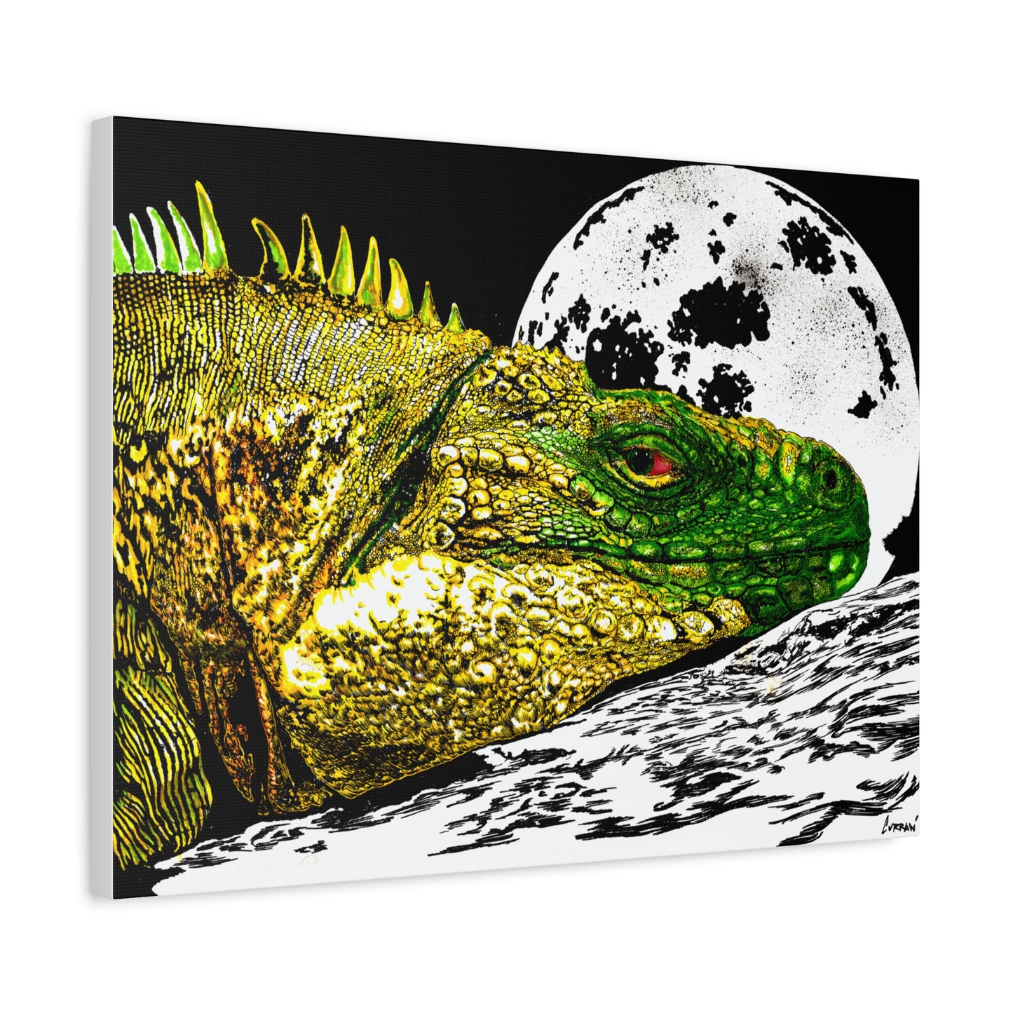 Reptile Art Print, Print of my Original hand drawn art printed on stretched canvas of a Reptile