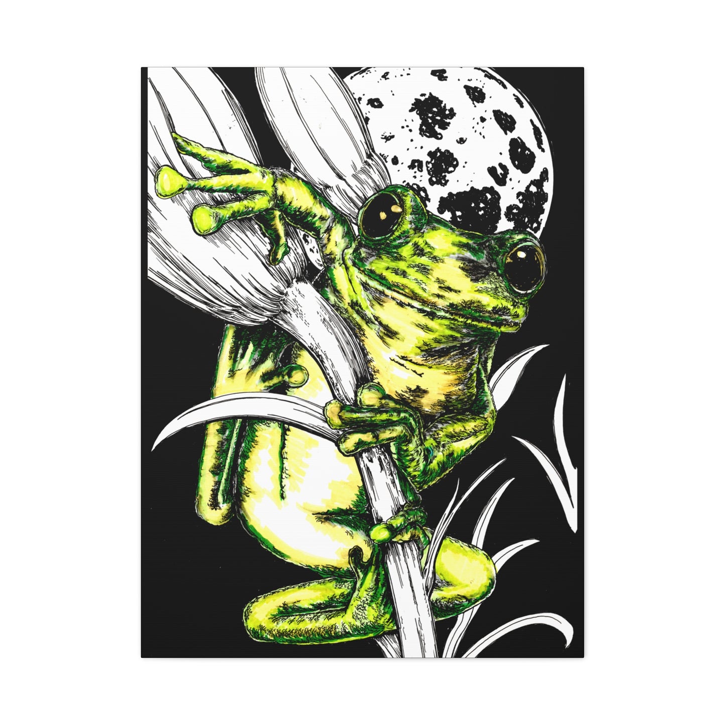Frog 1 Wall Art Print of the Original, hand drawn wall art