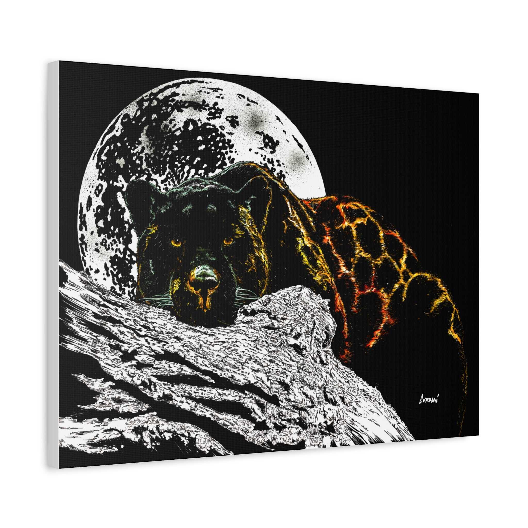 Panther in the Moonlight Print of my Original hand drawn art