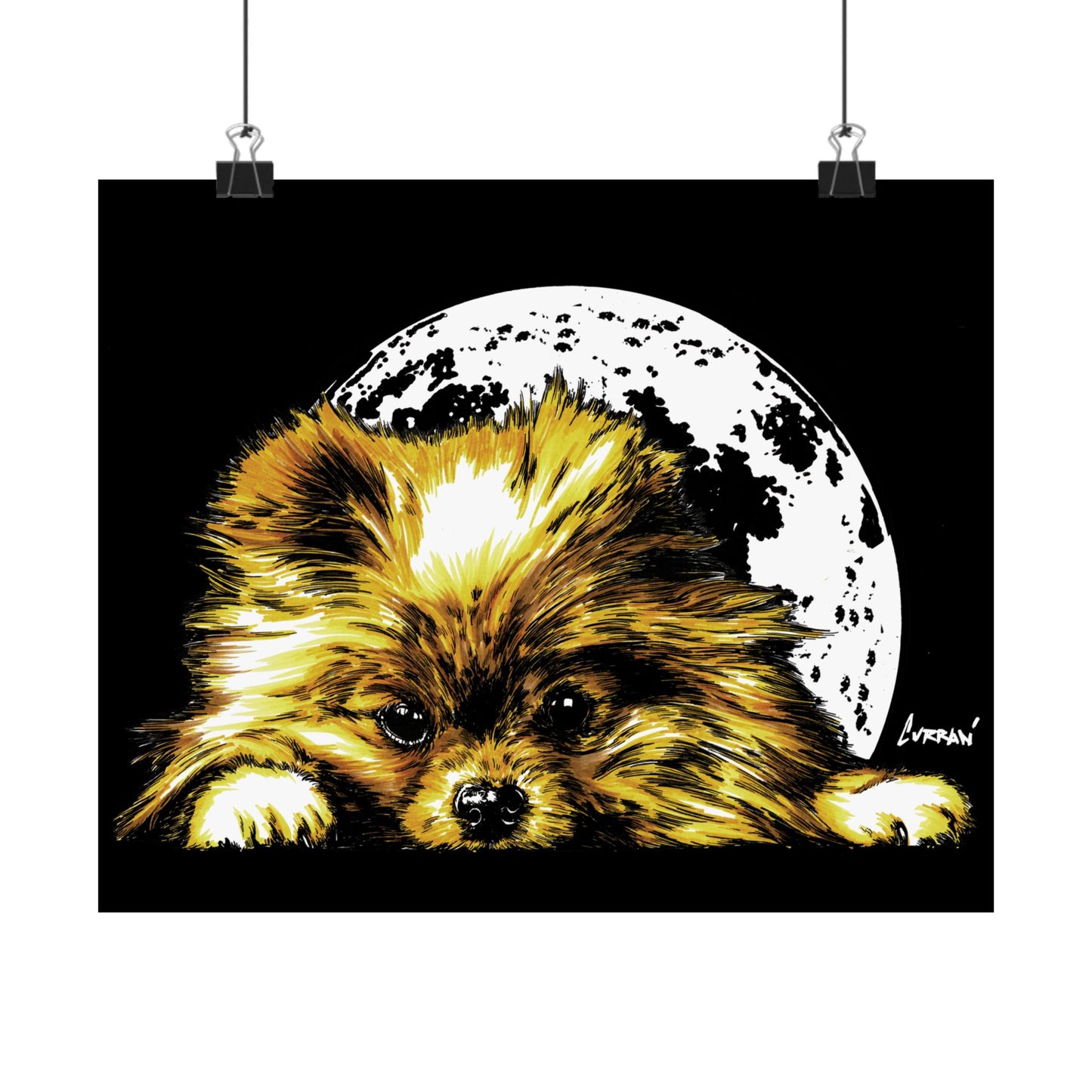 Beautiful Pomeranian Art Print - Satin Poster (300gsm)