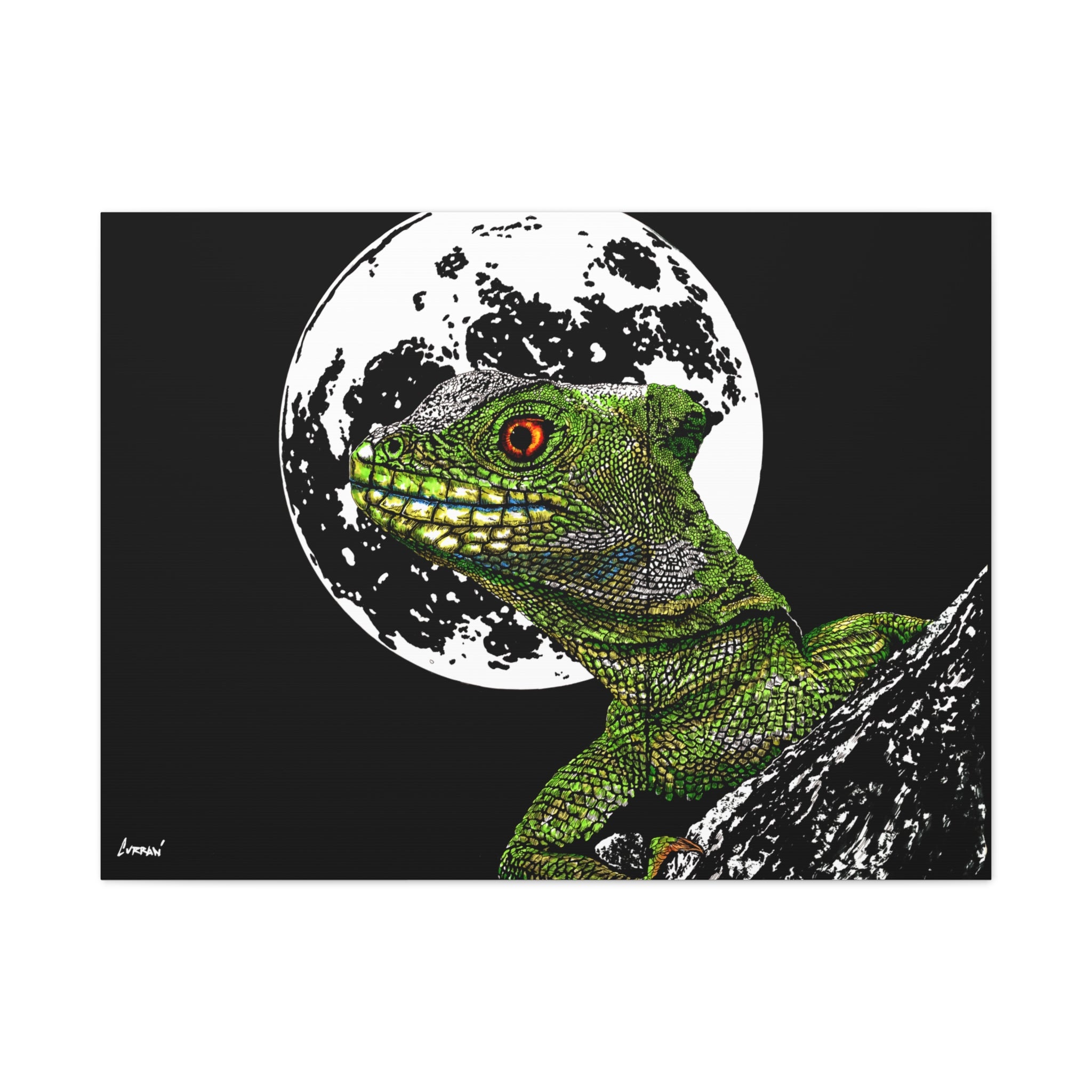 Lizard Canvas Art – Original Hand-Drawn Realistic