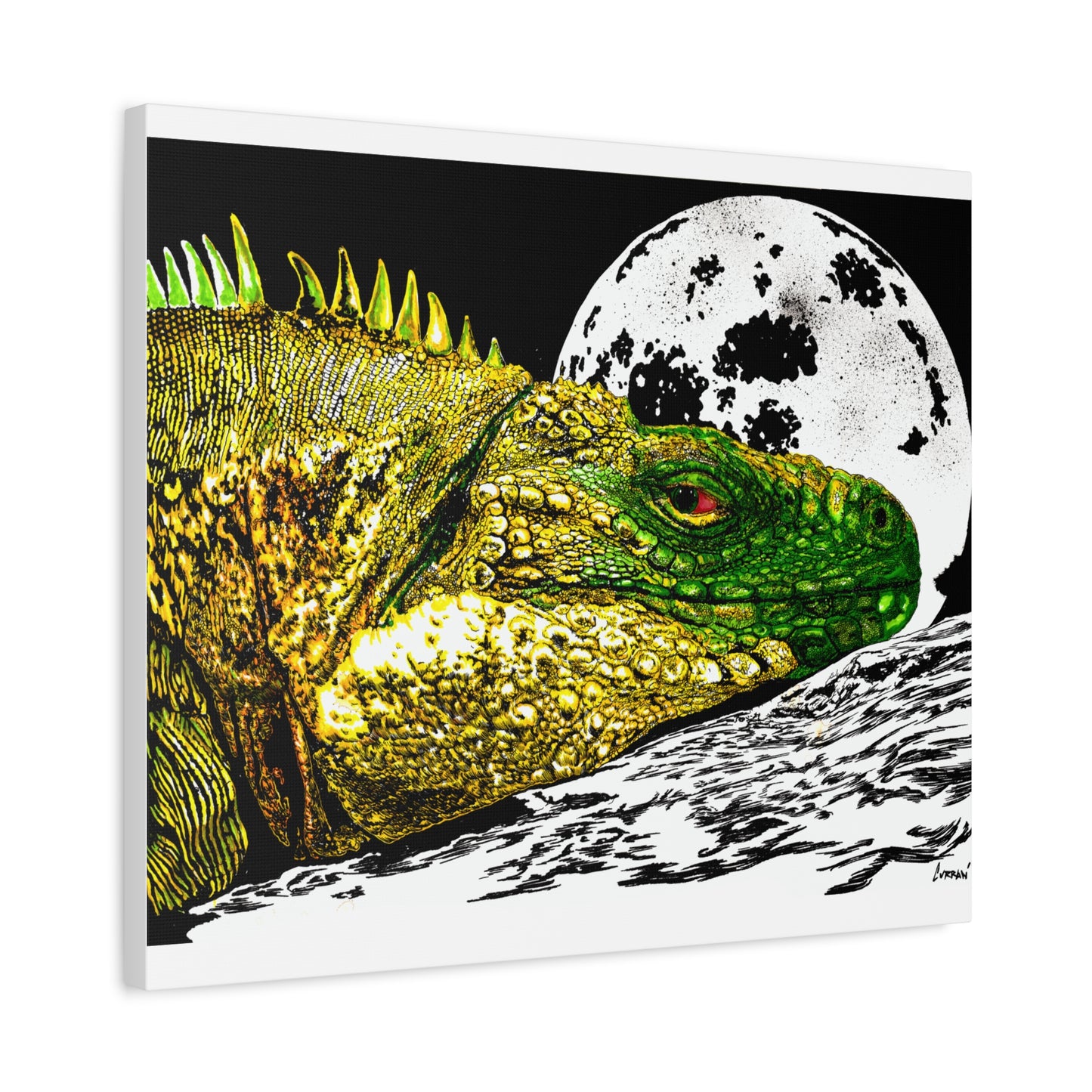 Reptile Art Print, Print of my Original hand drawn art printed on stretched canvas of a Reptile