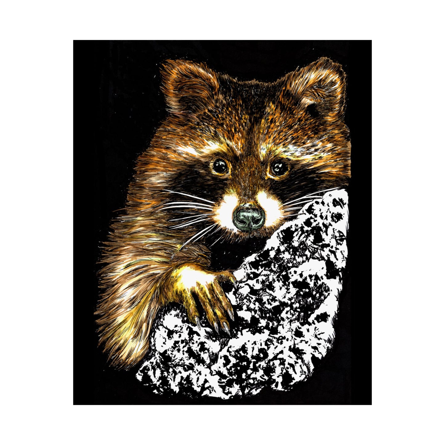 Raccoon Wildlife Satin Poster - Hand-Drawn Raccoon Art Print (300gsm)
