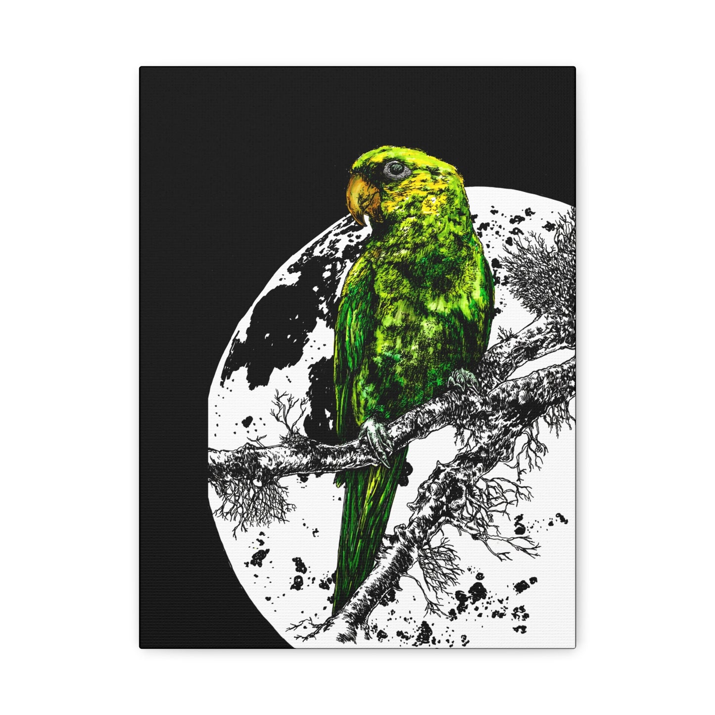 Green Parrot Wall Art Print - Matte Canvas, Stretched,