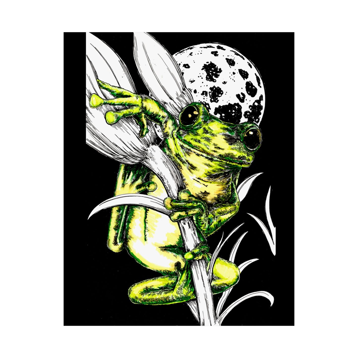 Whimsical Frog Satin Poster - Vibrant Wall Art for Nature Lovers