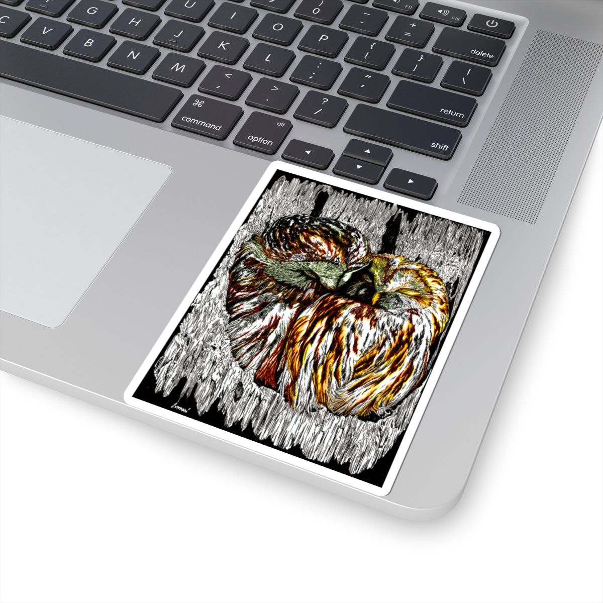 Owl Stickers for Nature Lovers & Gift Giving