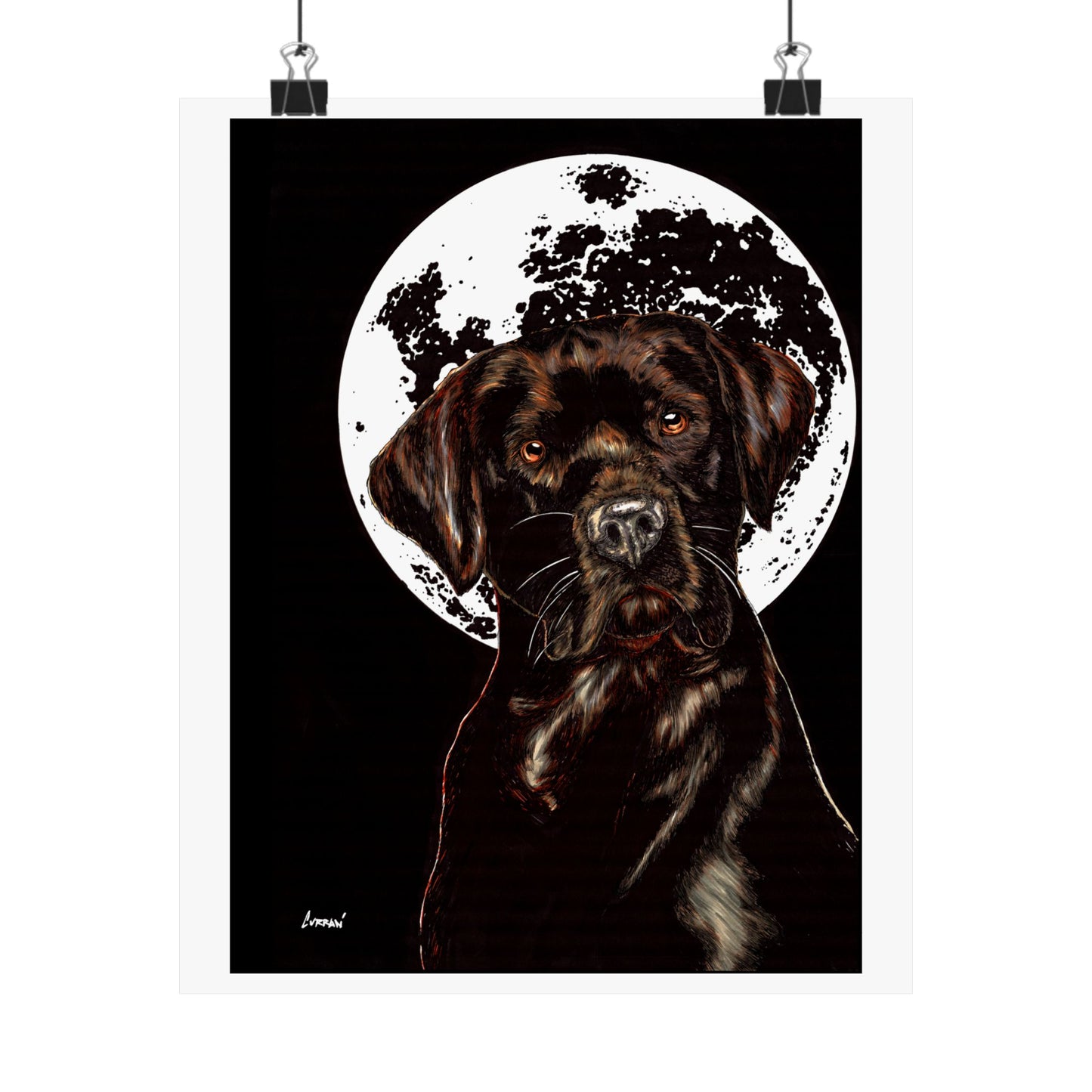Chocolate Lab Dog Moonlight Satin Poster