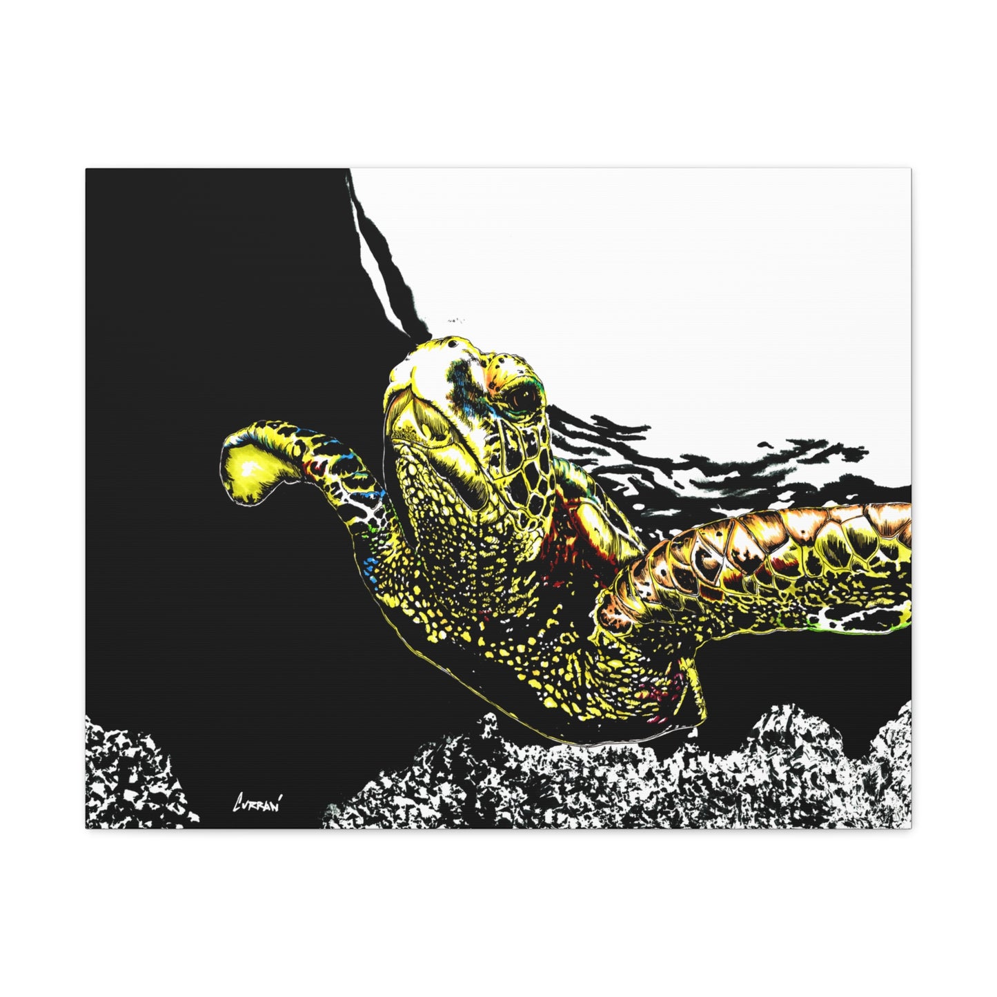 Sea Turtle Art Print of my Original hand drawn art printed on stretched canvas of a Sea Turtle