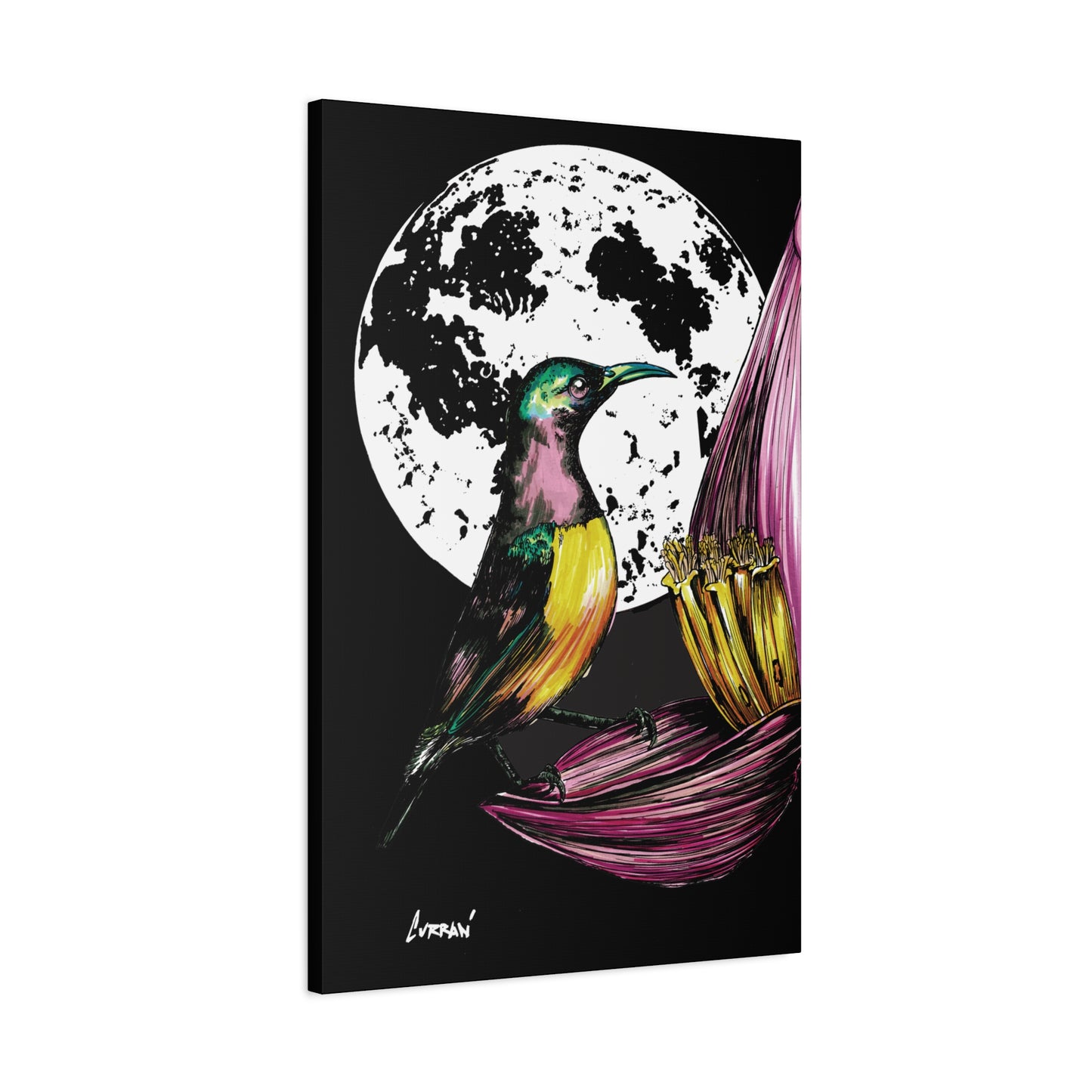 Hummingbird Wall Art Print of the Original, hand drawn