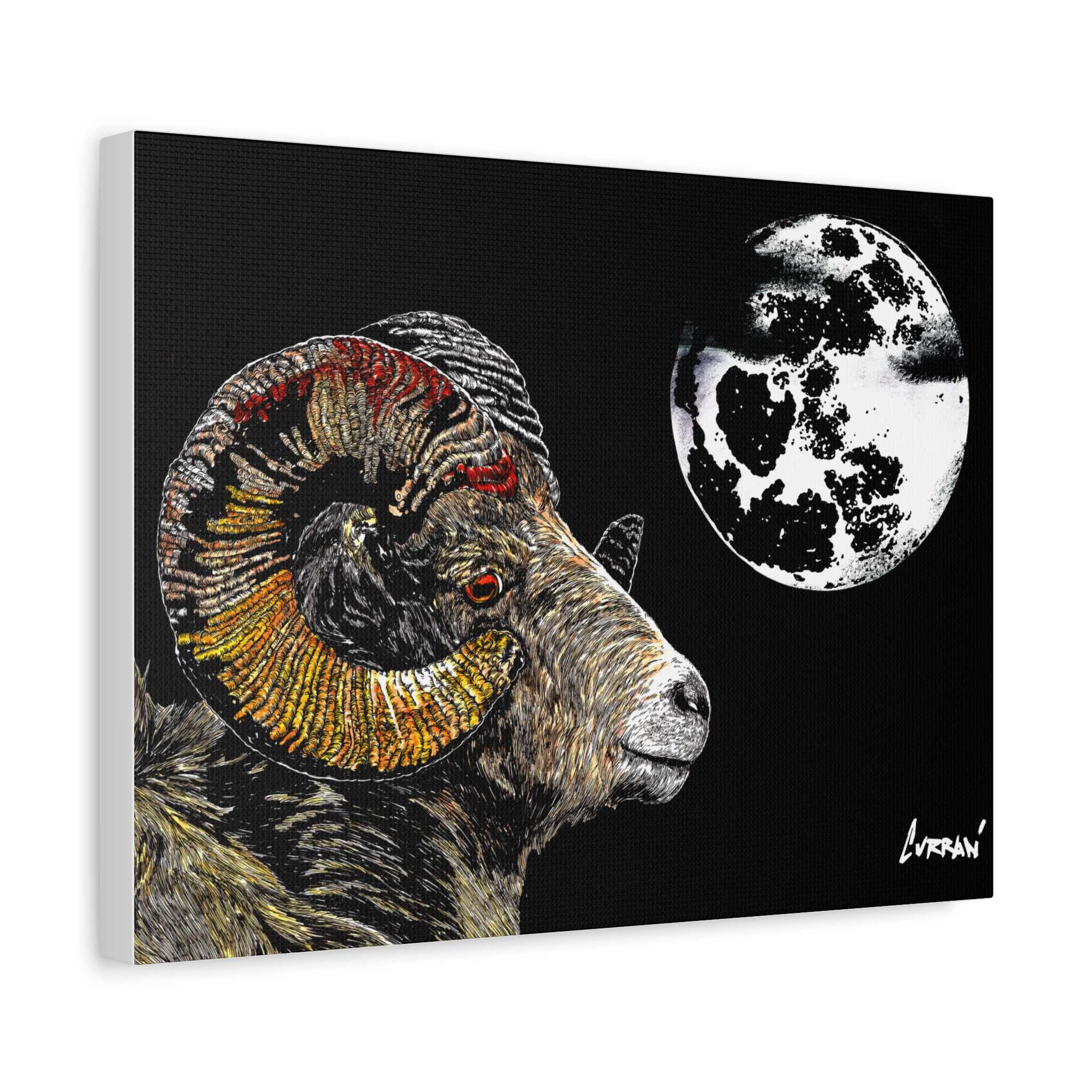 Mountain Ram Canvas Print - Art Print on Stretched Canvas