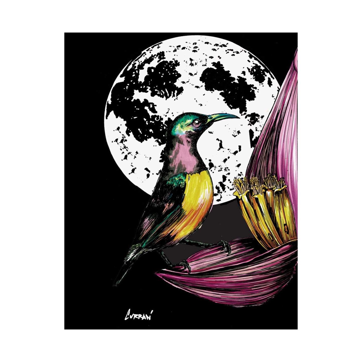 Vibrant Bird Satin Poster - 300gsm Art Print for Nature Lovers