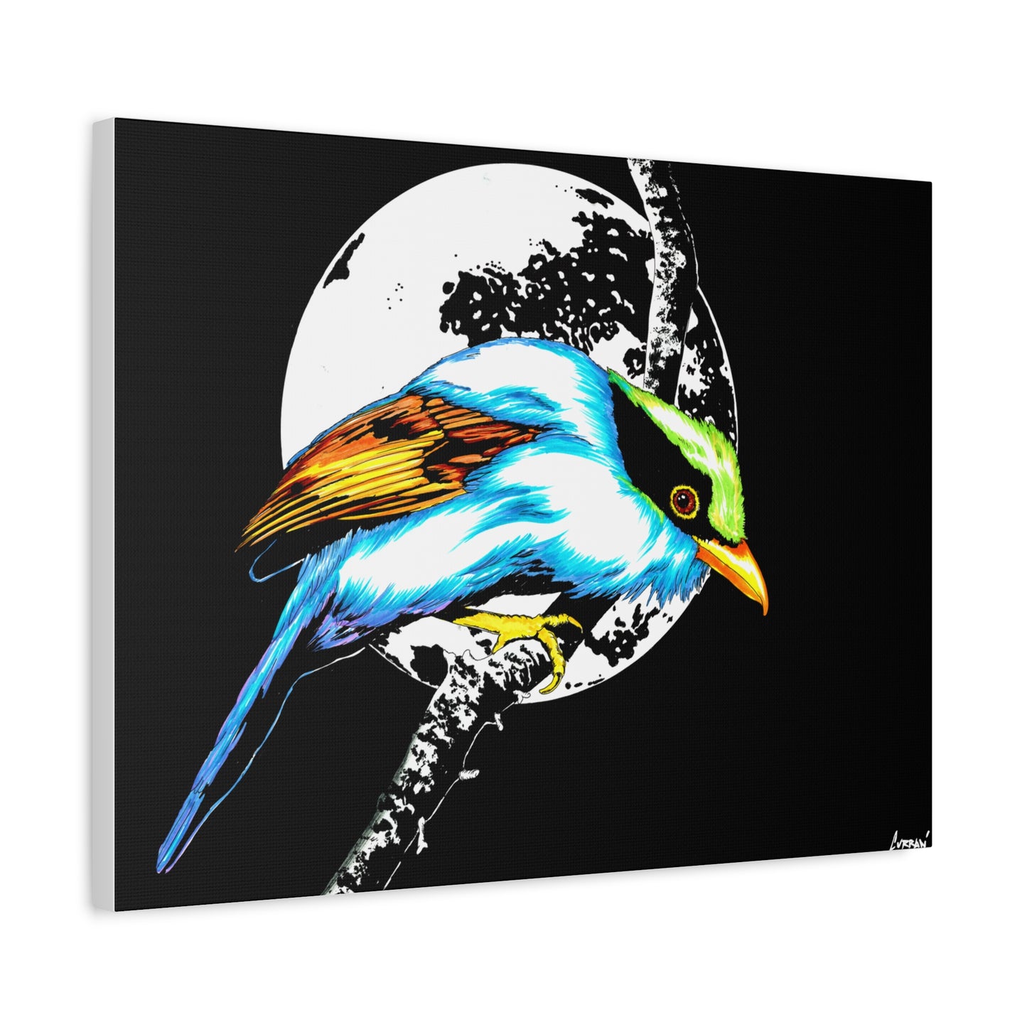 Exotic Bird Canvas Art – Original Hand-Drawn Vibrant,