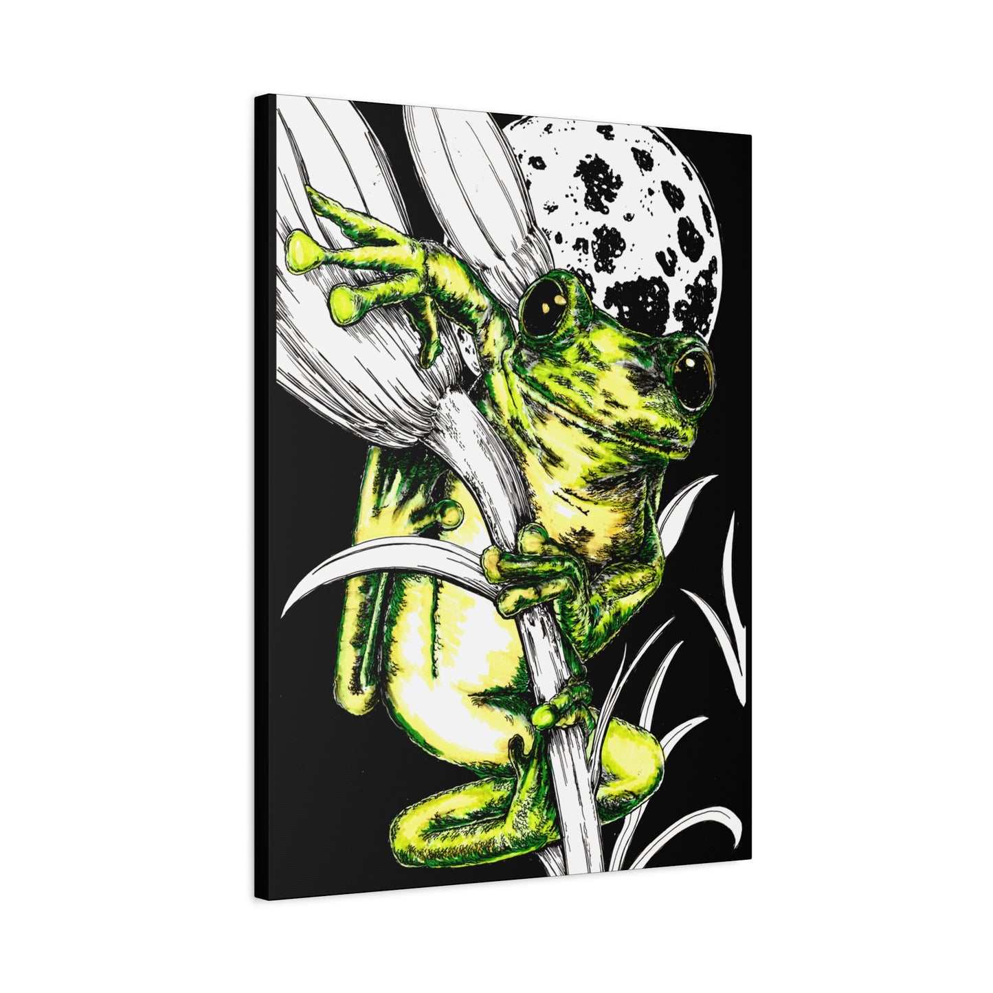 Frog 1 Wall Art Print of the Original, hand drawn wall art