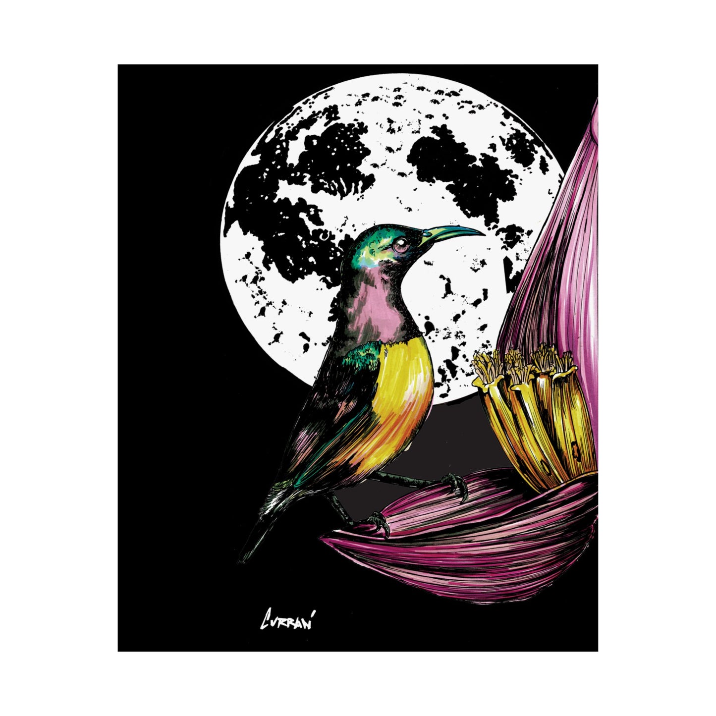 Vibrant Bird Satin Poster - 300gsm Art Print for Nature Lovers