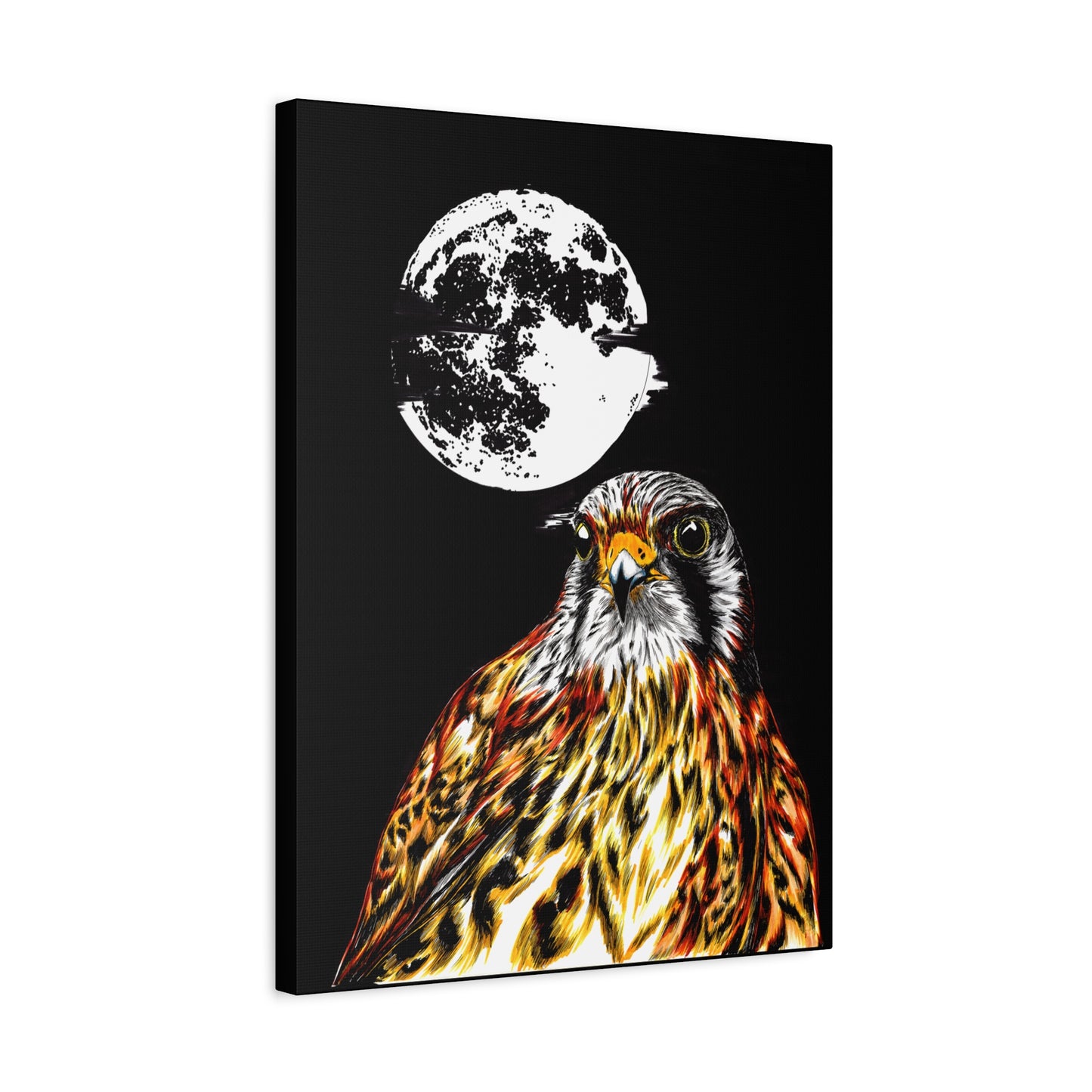 Falcon Wall Art, Falcon Print, Wildlife Art, Bird of Prey