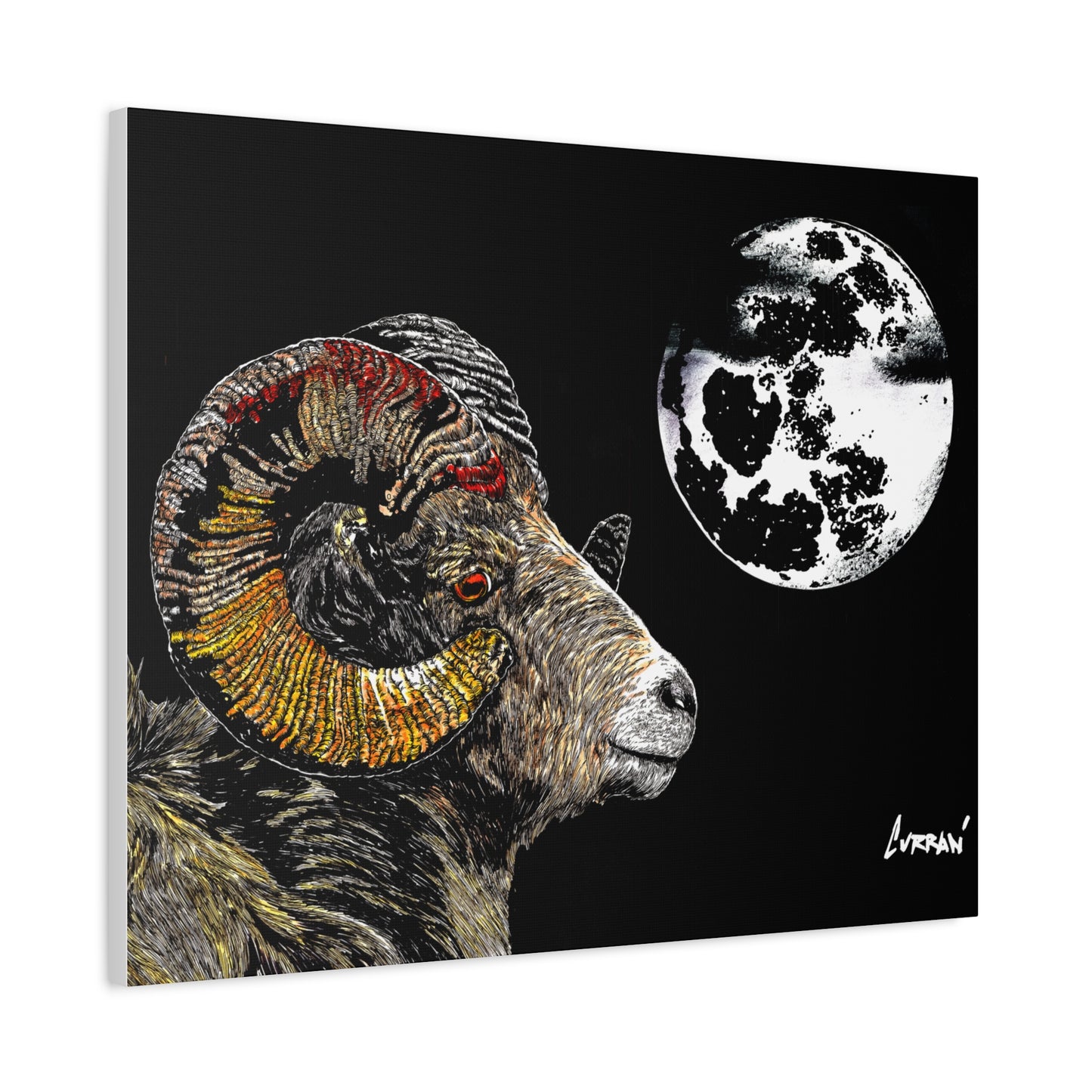 Mountain Ram Canvas Print - Art Print on Stretched Canvas