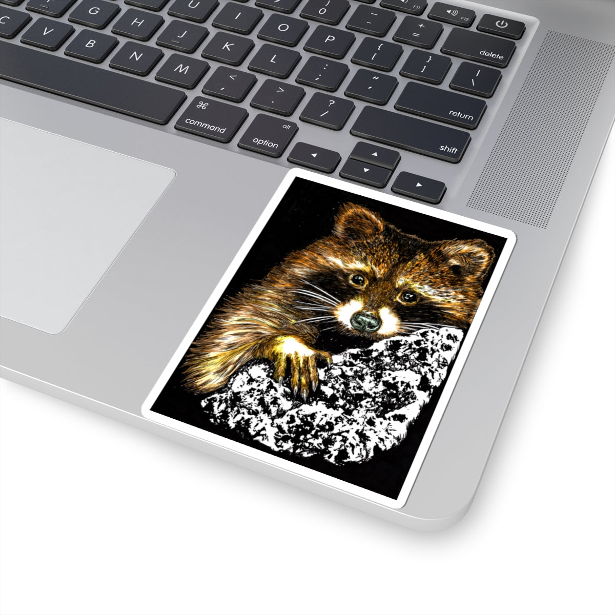 Raccoon Stickers