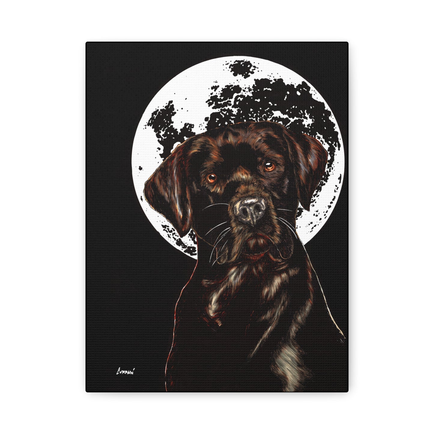 Chocolate Lab in Moonlight Wall Art Print of the Original