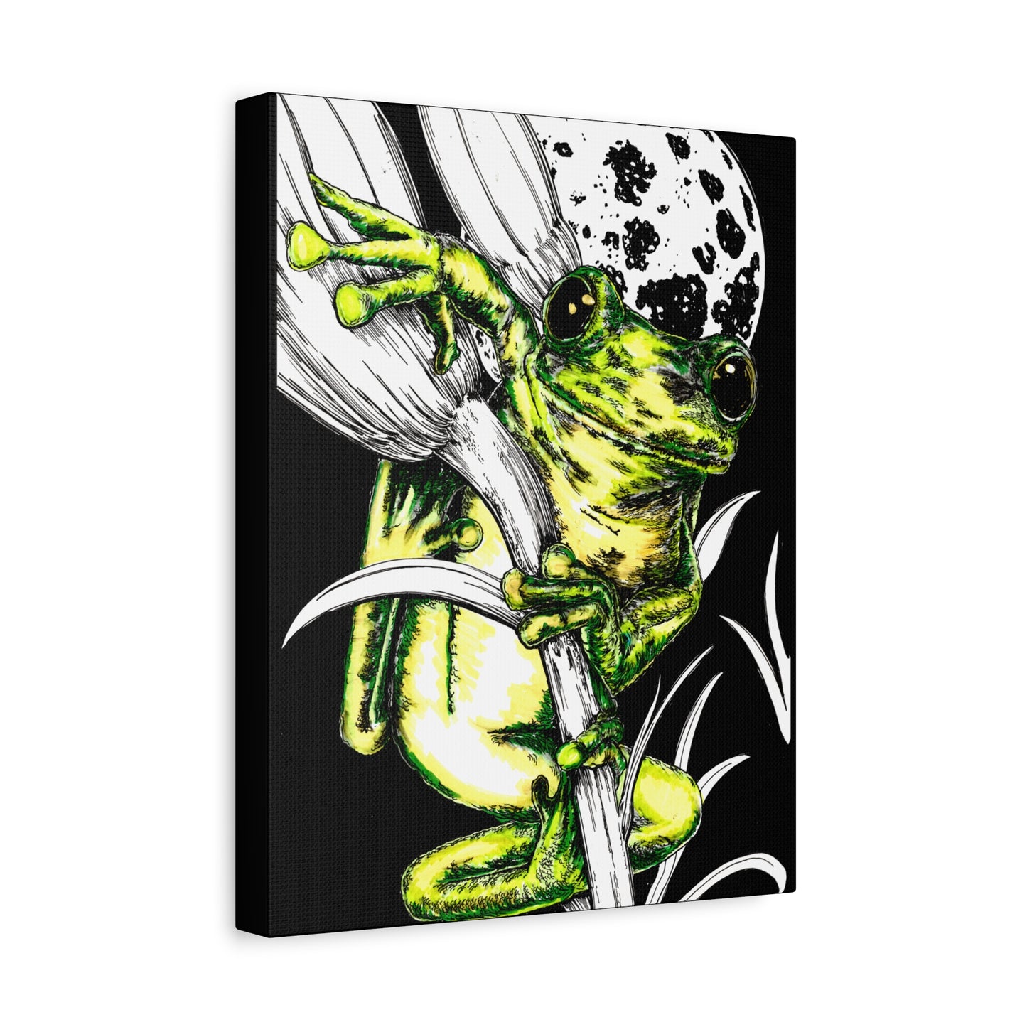 Frog 1 Wall Art Print of the Original, hand drawn wall art