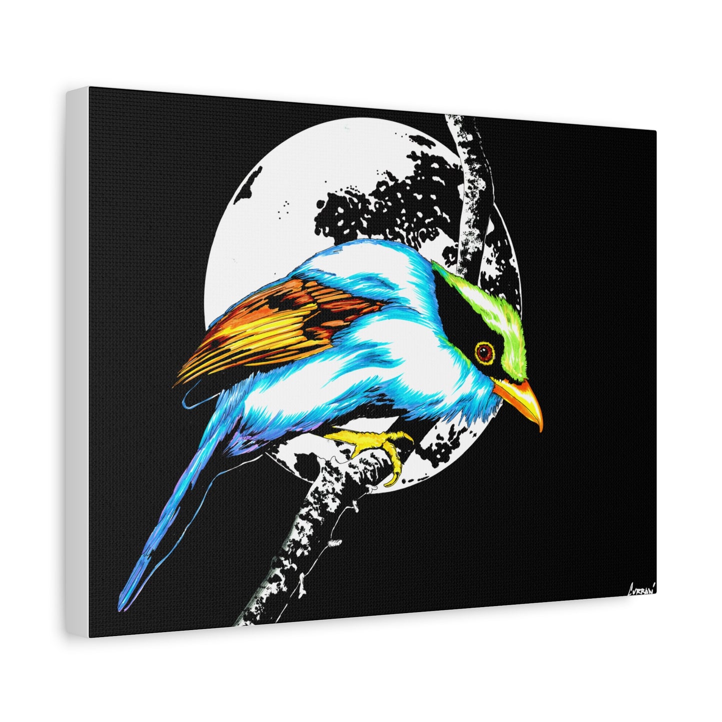 Exotic Bird Canvas Art – Original Hand-Drawn Vibrant,