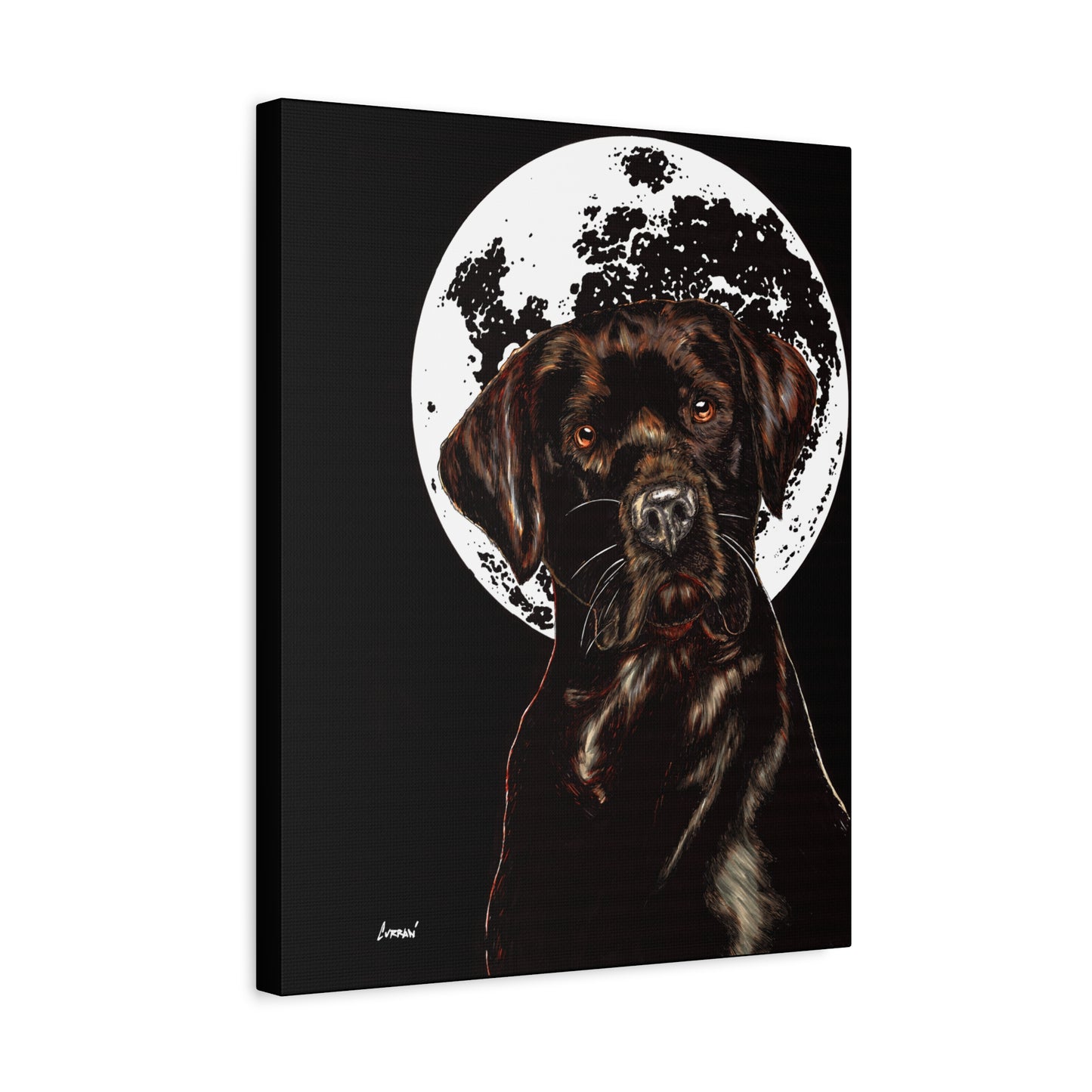 Chocolate Lab in Moonlight Wall Art Print of the Original