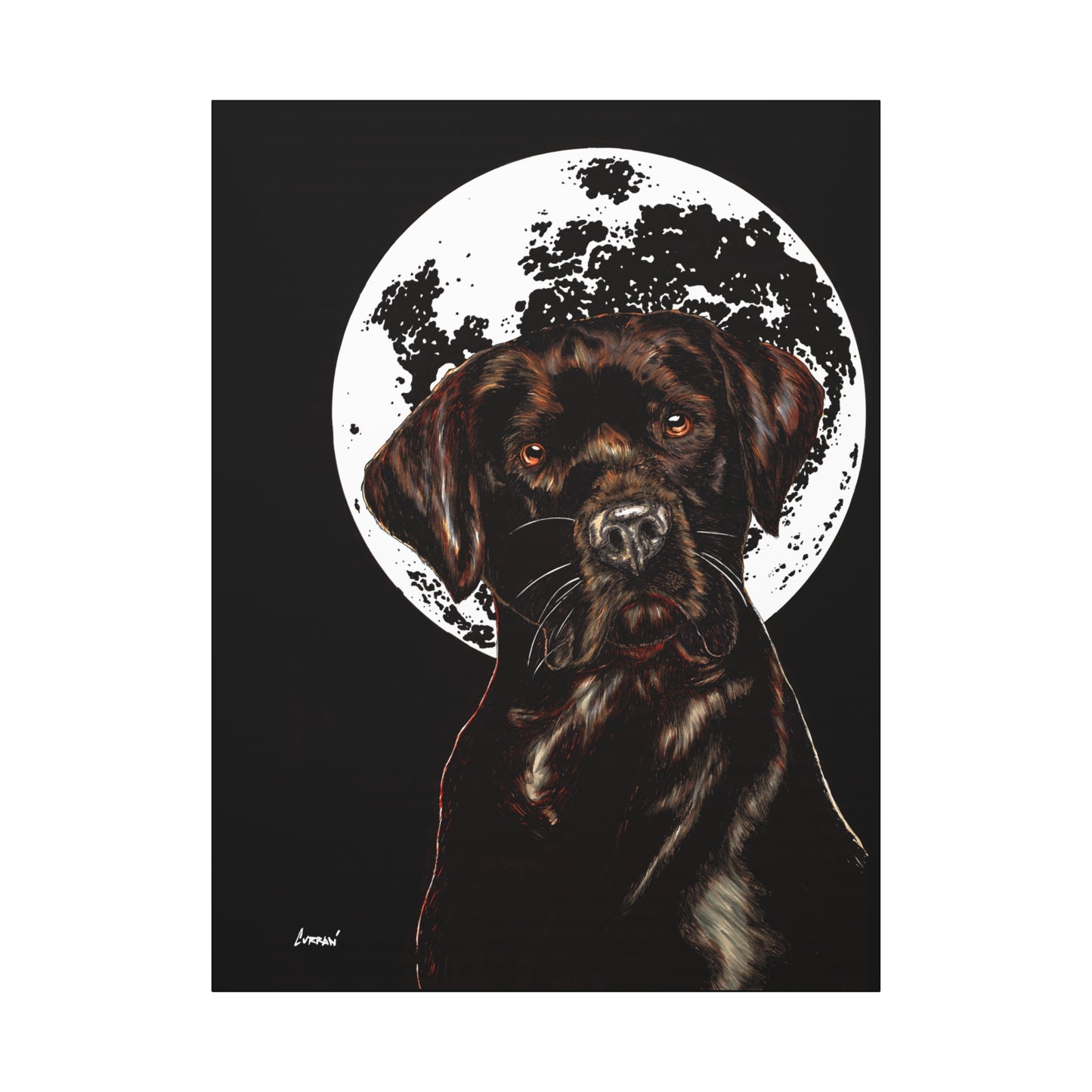 Chocolate Lab in Moonlight Wall Art Print of the Original