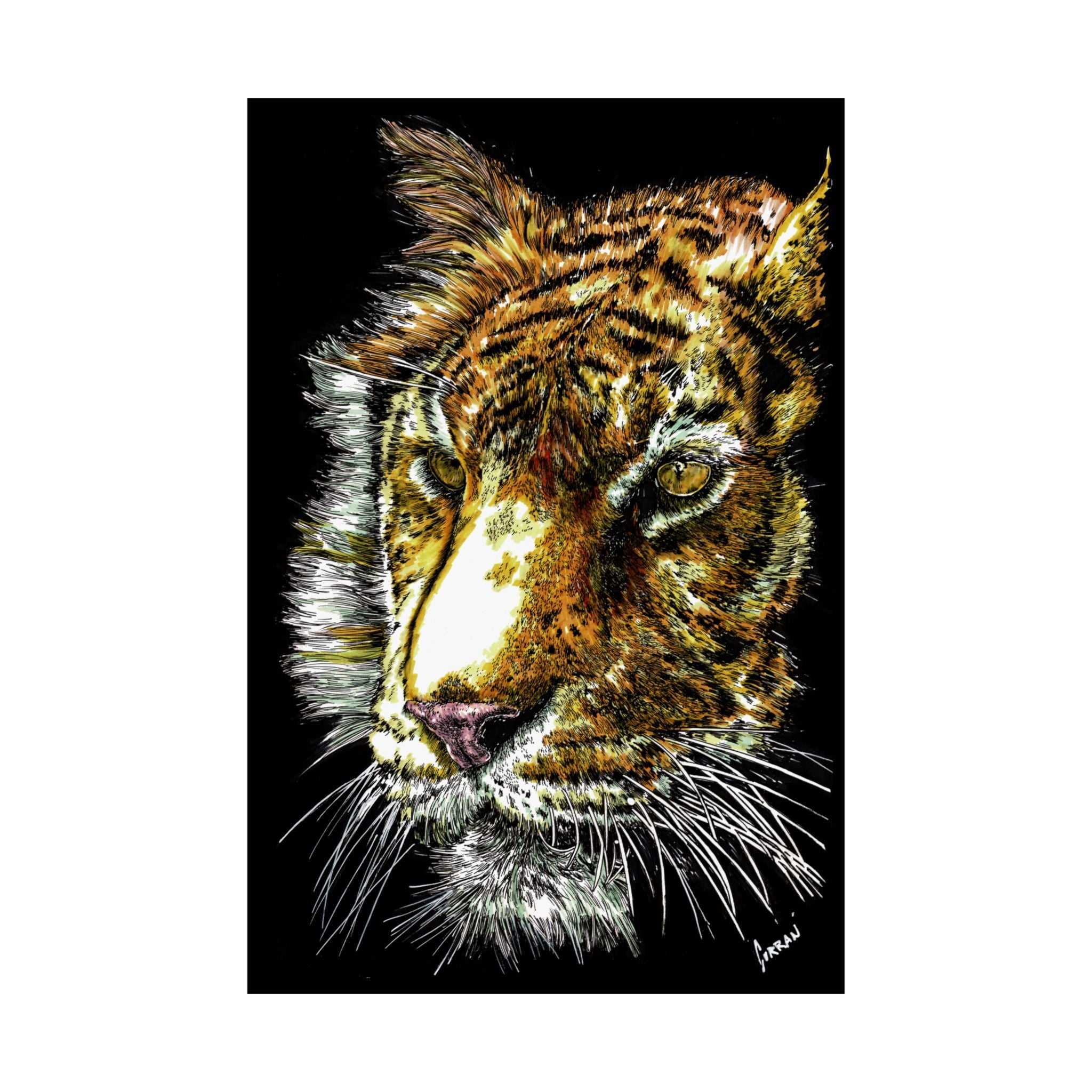 Tiger Satin Poster (300gsm) - Vibrant Wildlife Wall Art