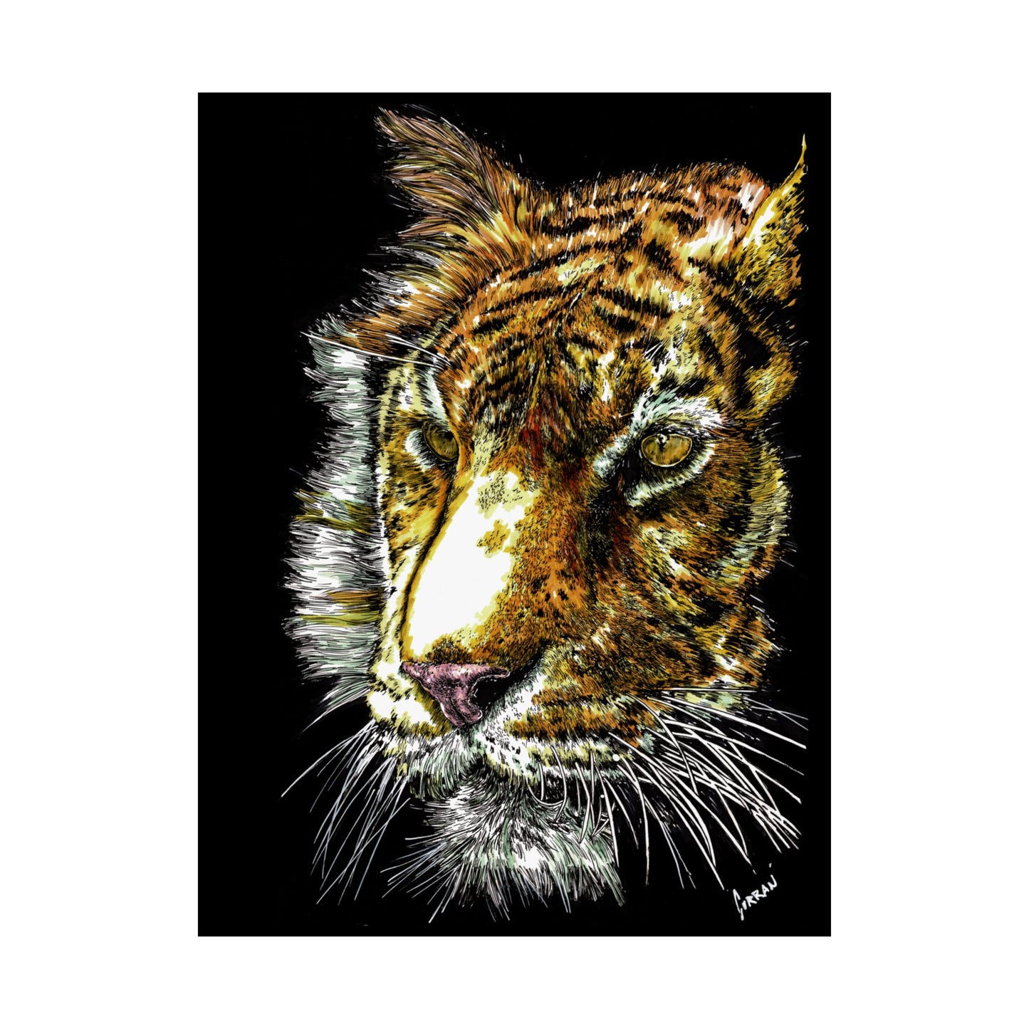 Majestic Tiger Satin Poster (300gsm) - Vibrant Wildlife Wall Art for Home Decor