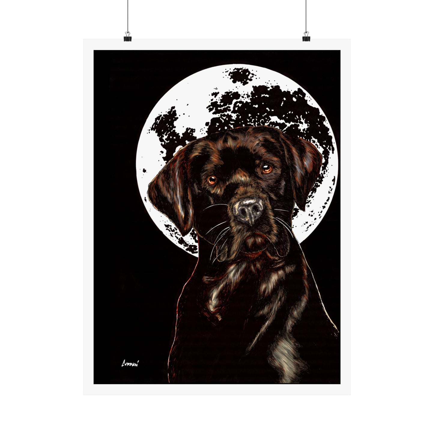 Chocolate Lab Dog Moonlight Satin Poster