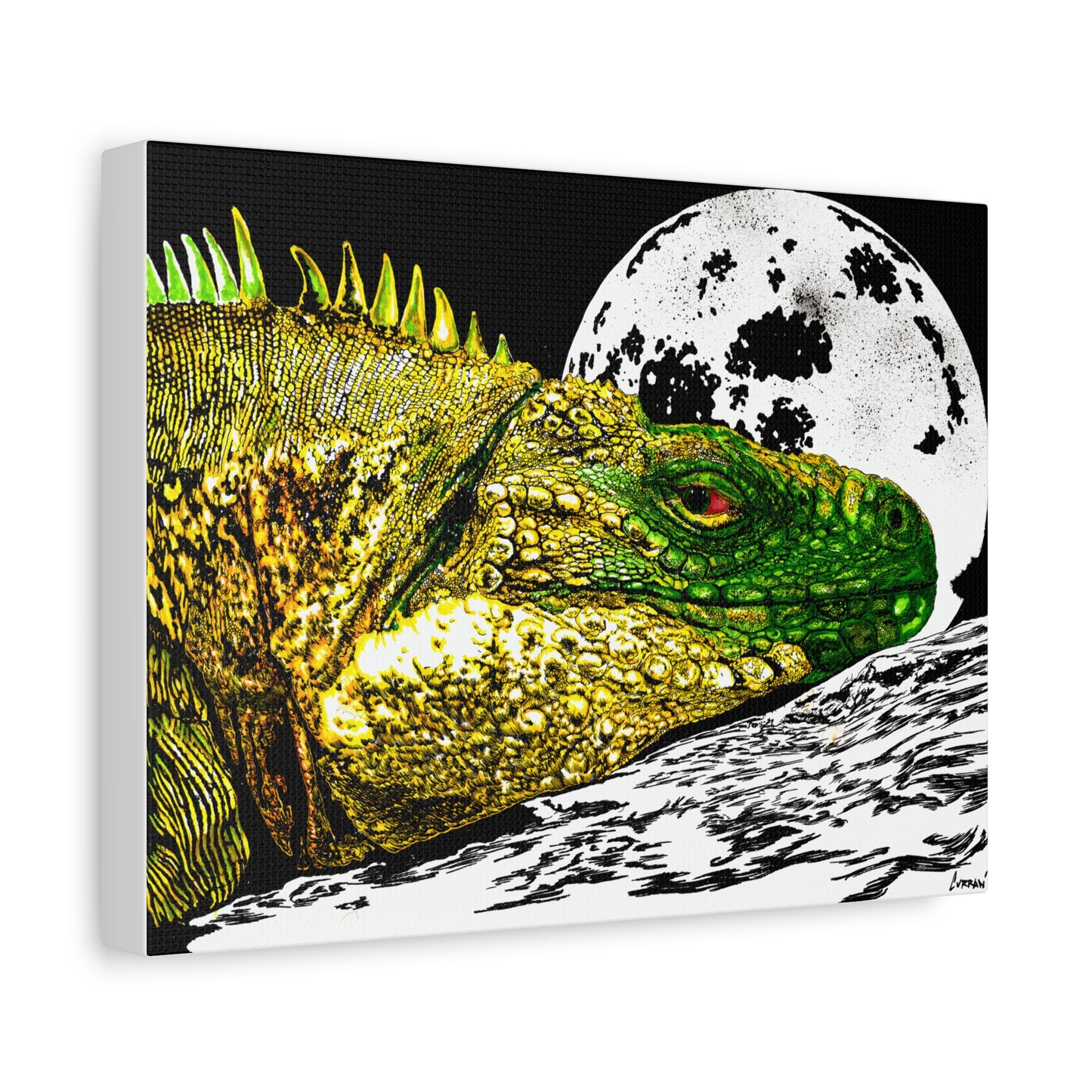 Reptile Art Print, Print of my Original hand drawn art printed on stretched canvas of a Reptile