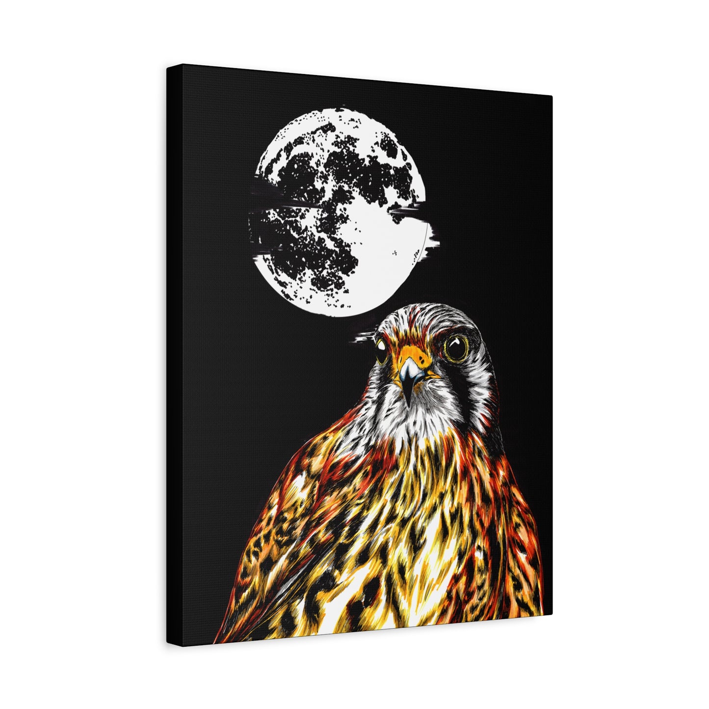 Falcon Wall Art, Falcon Print, Wildlife Art, Bird of Prey