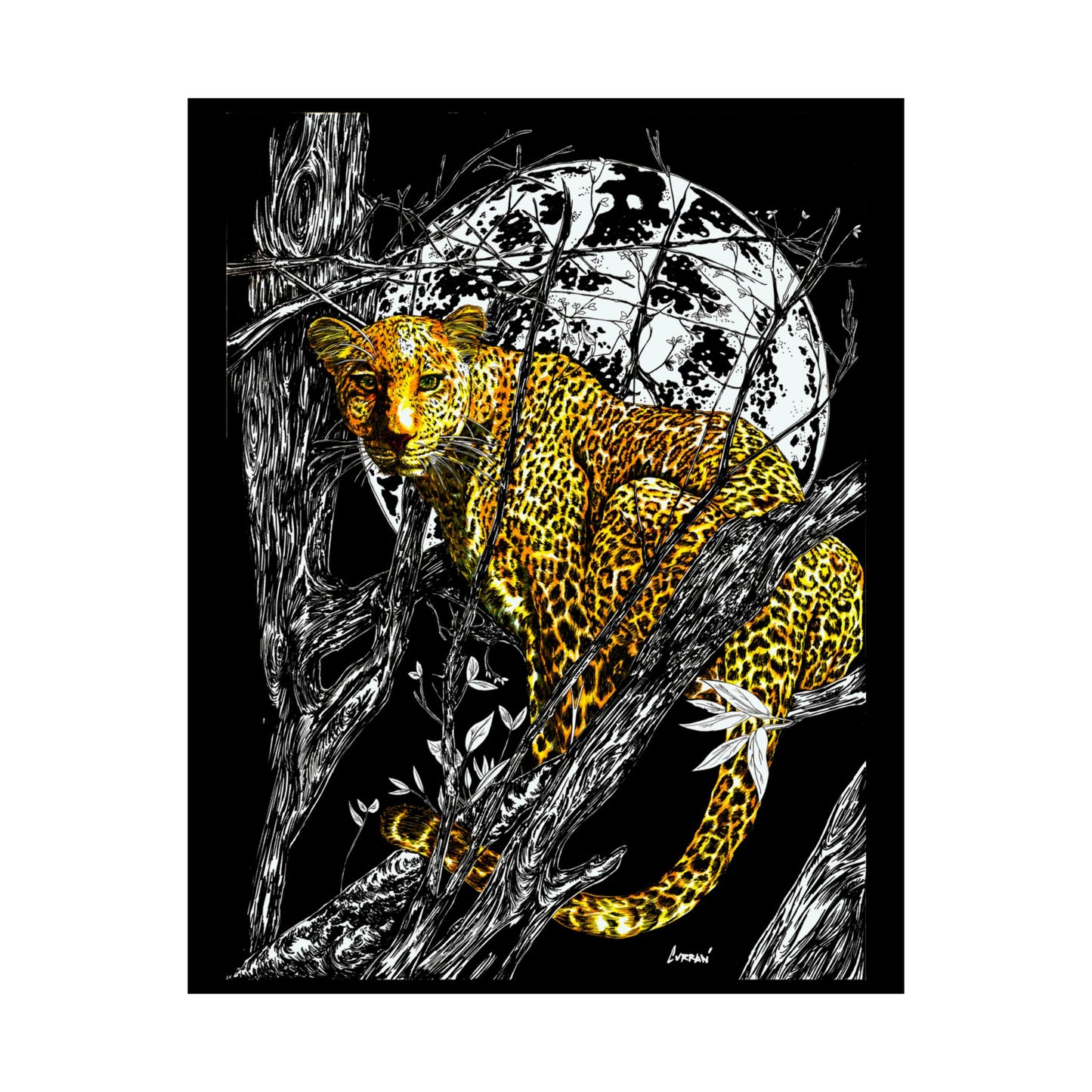 Majestic Leopard Satin Poster - 300gsm Art Print for Home Décor
