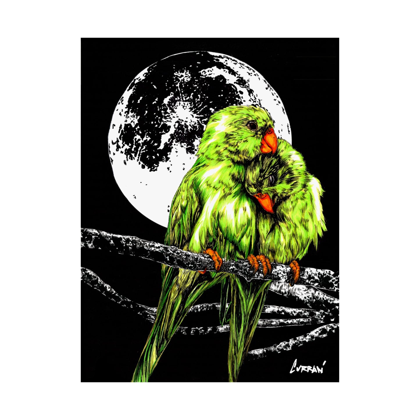 Vibrant Lovebirds Satin Poster - 300gsm Wall Art