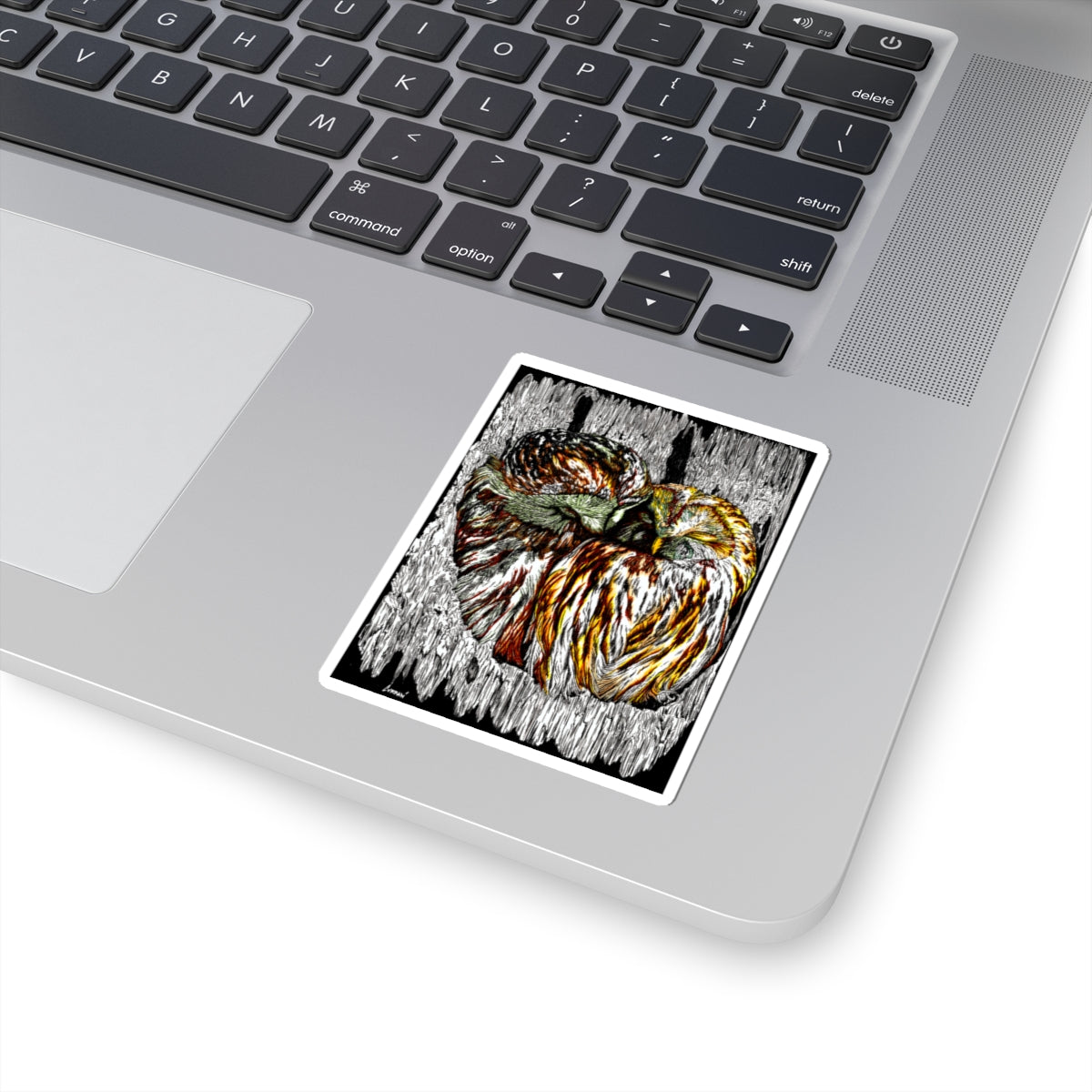 Owl Stickers for Nature Lovers & Gift Giving