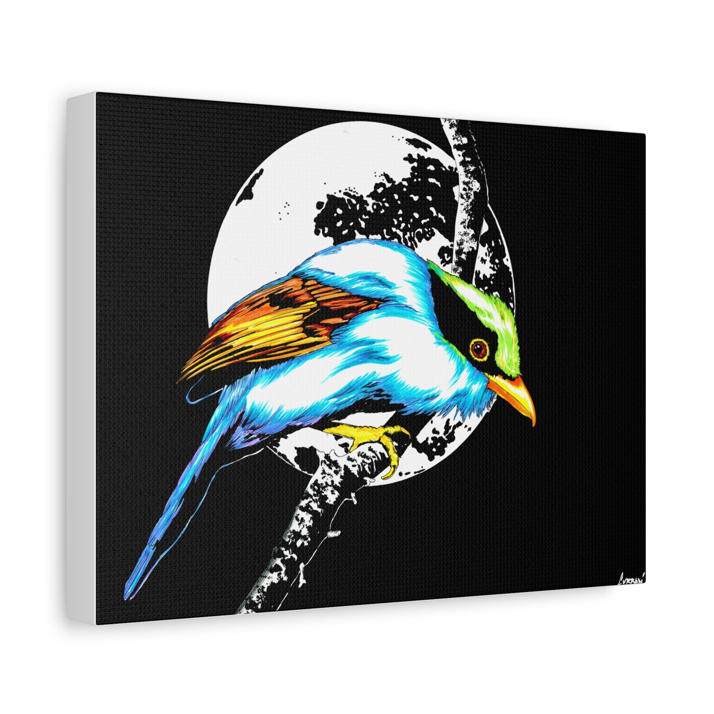 Exotic Bird Canvas Art – Original Hand-Drawn Vibrant,