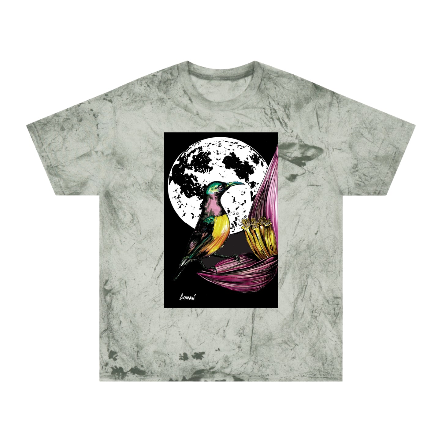 Colorful Hummingbird Art Unisex T Shirt Nature Design