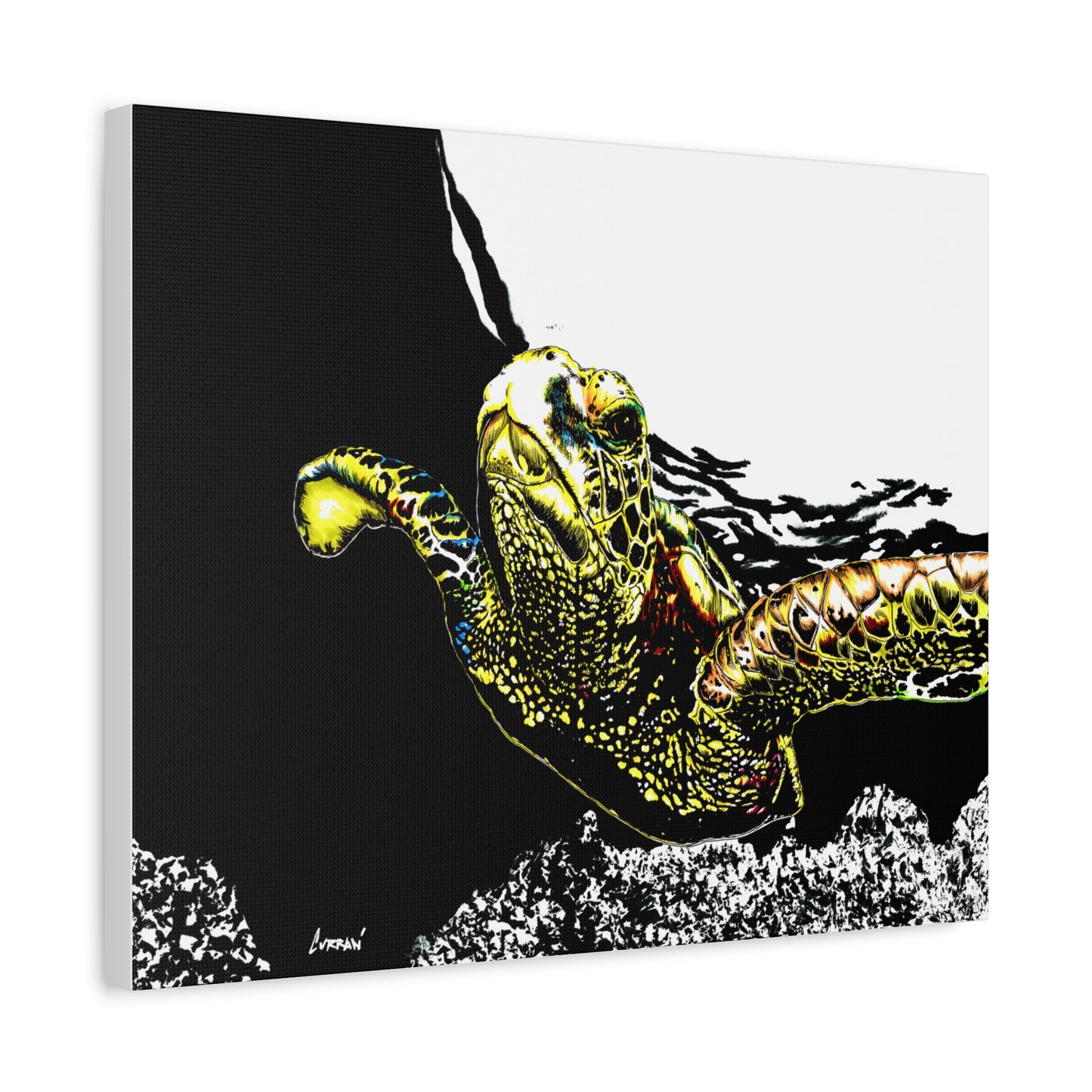 Sea Turtle Art Print of my Original hand drawn art printed on stretched canvas of a Sea Turtle